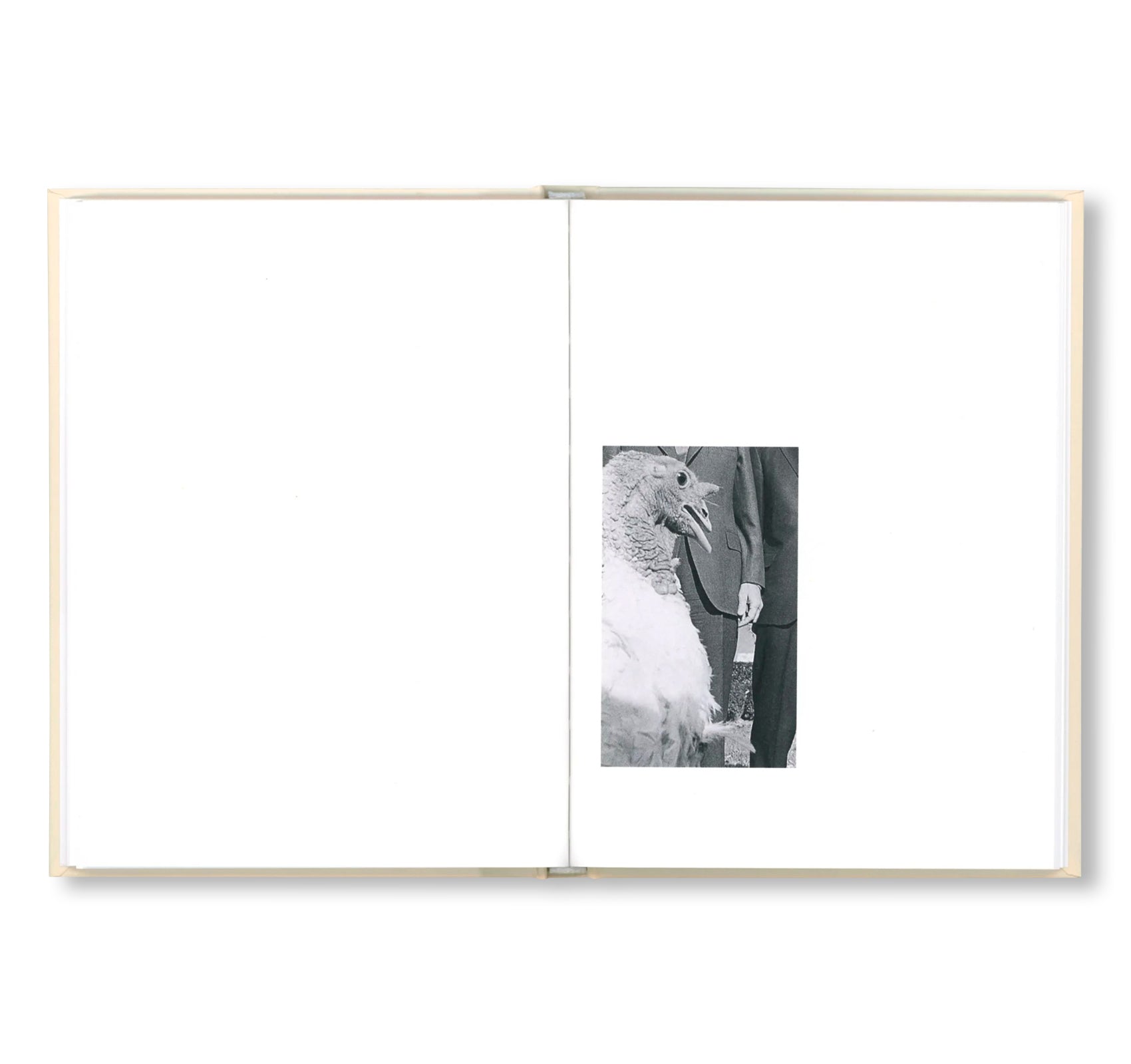 PARDON ME by Gardar Eide Einarsson