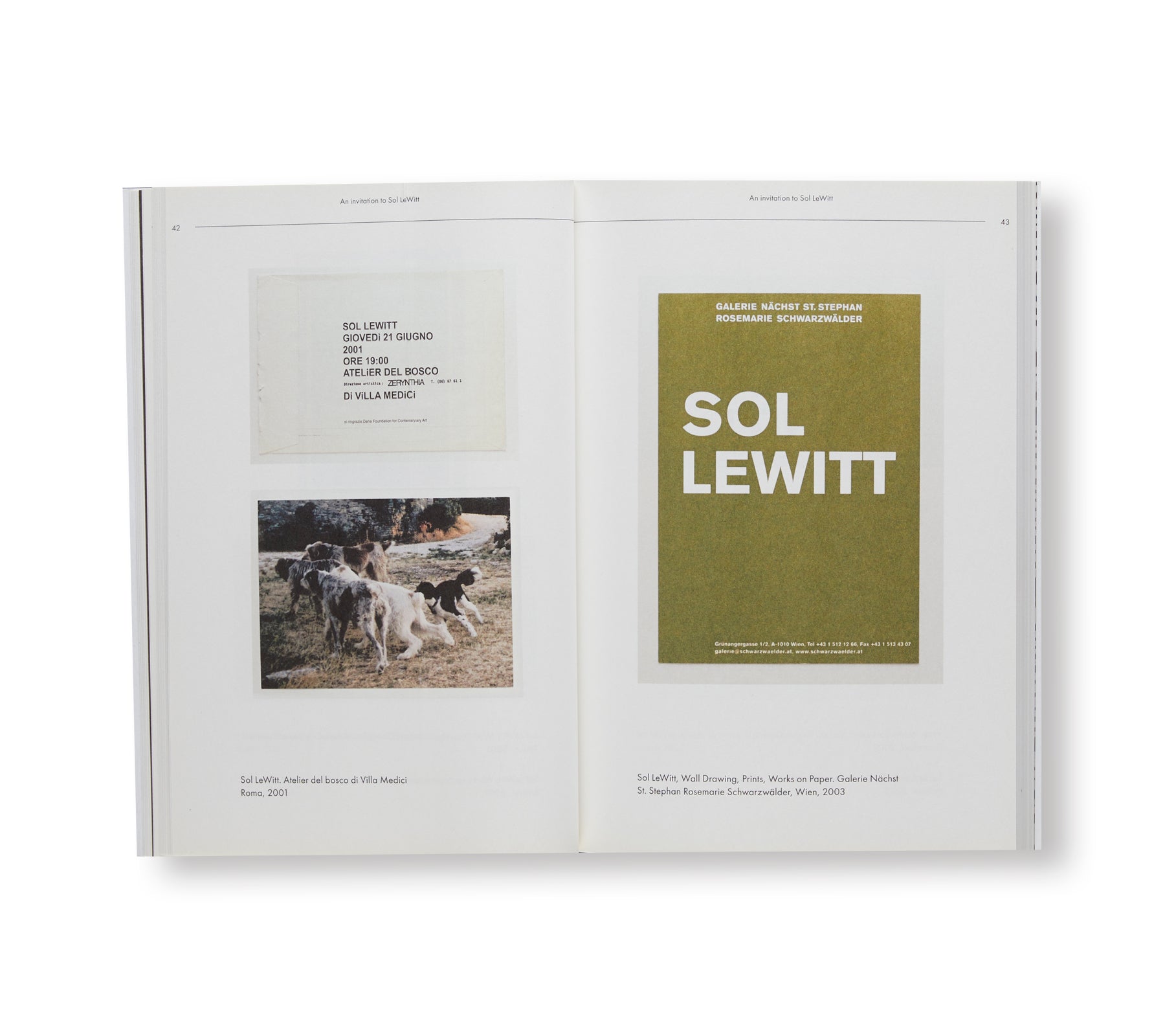 AN INVITATION TO SOL LEWITT by Sol LeWitt