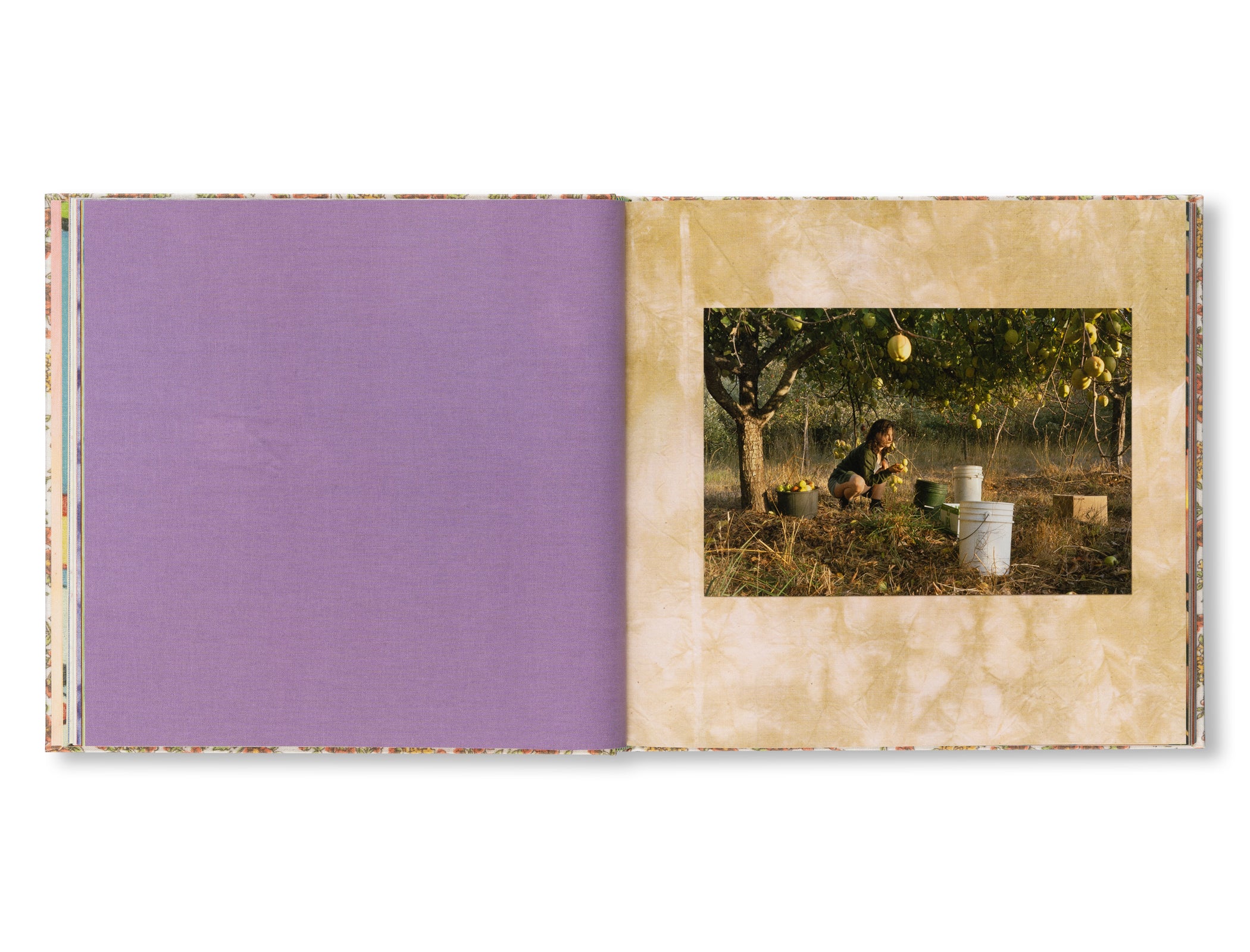 STONE SOUP by Eric Ruby