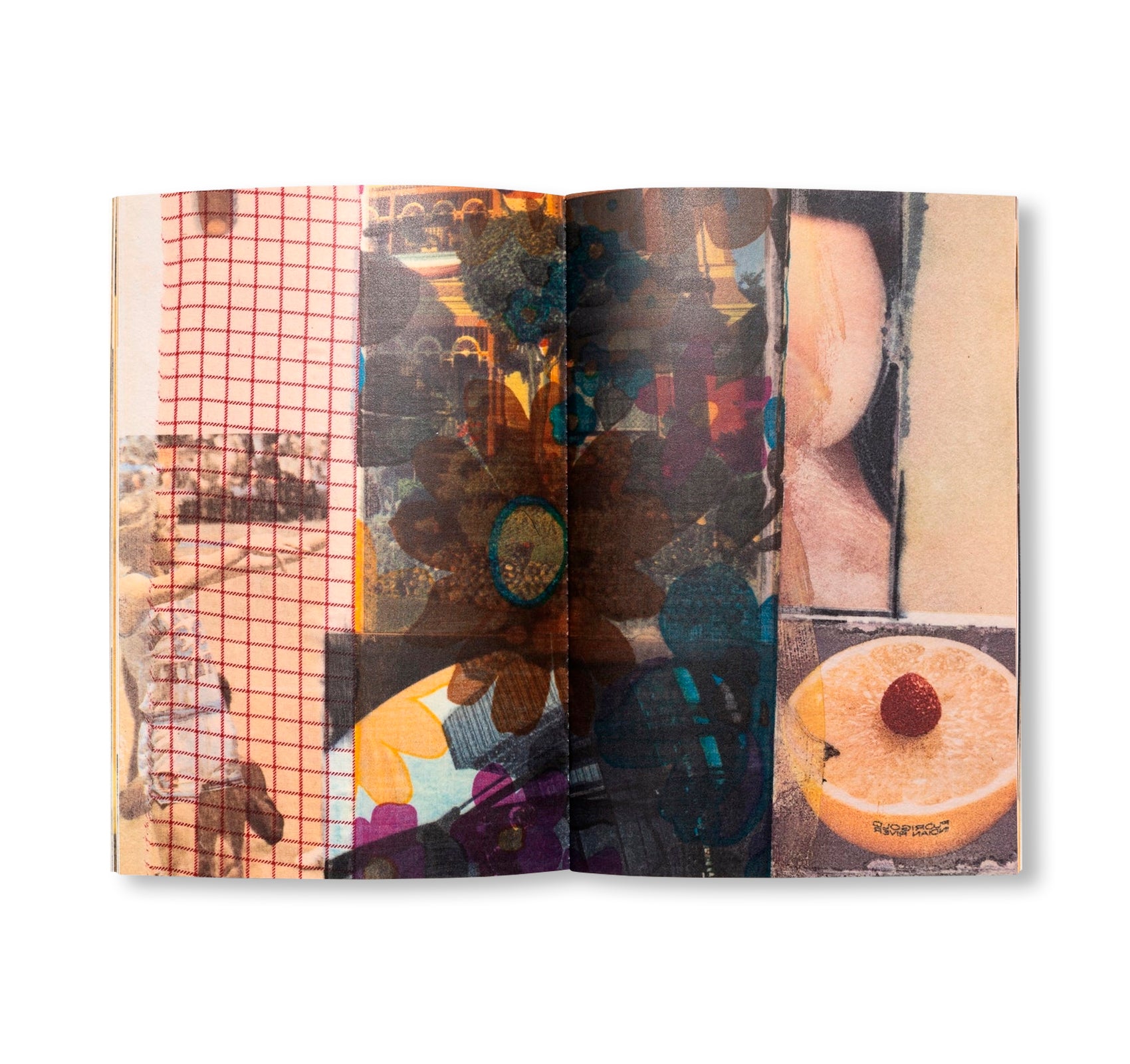 ARCANUM I-XIII by Robert Rauschenberg