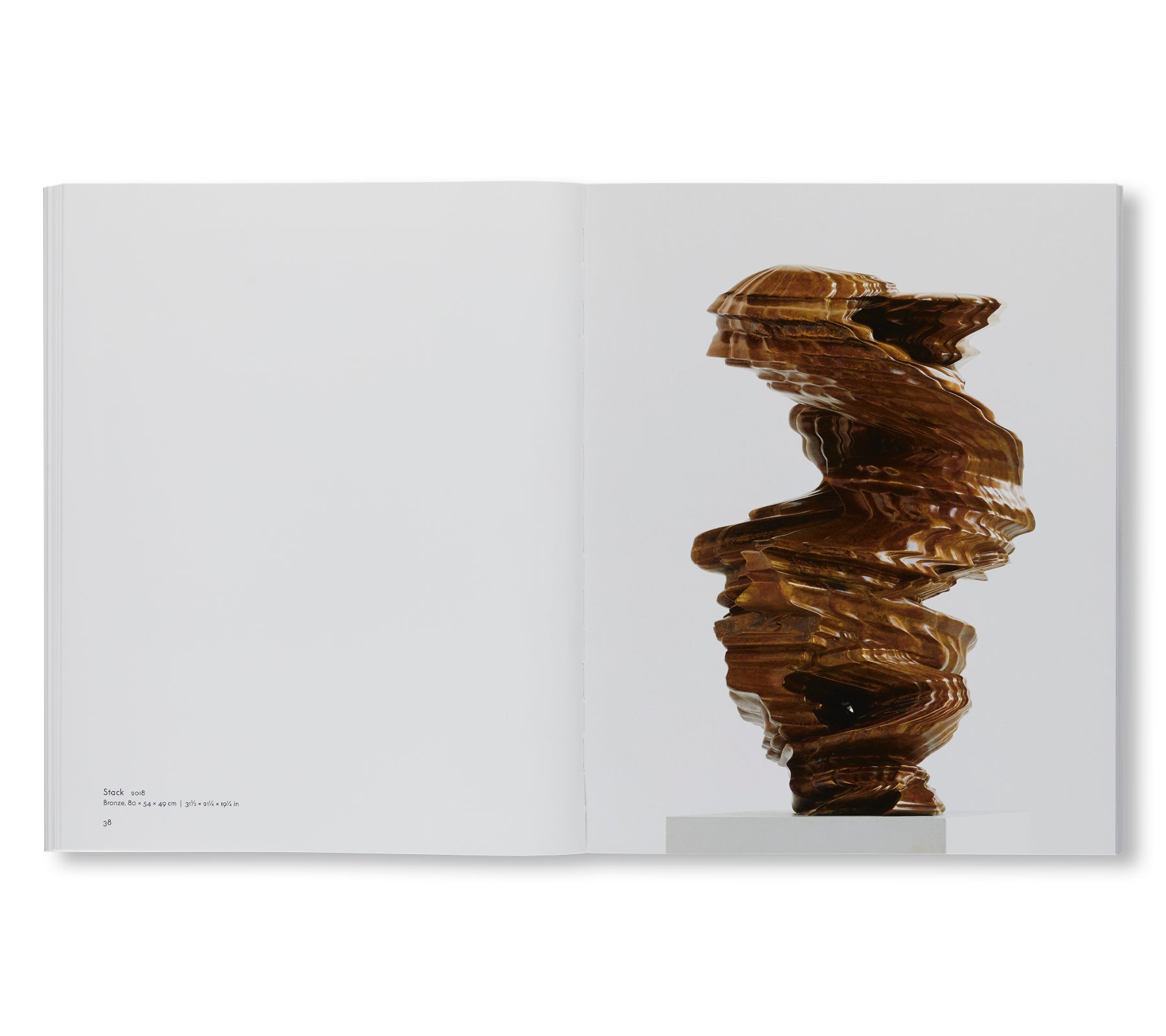 SCULPTURES AND WORKS ON PAPER by Tony Cragg