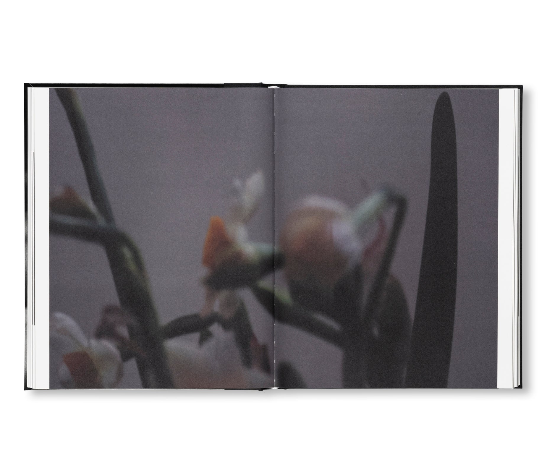 SAKIKO NOMURA: TENDER IS THE NIGHT by Sakiko Nomura