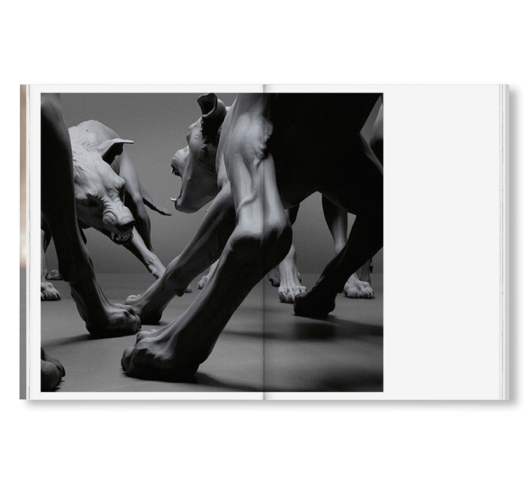 ENCOUNTER by Ron Mueck