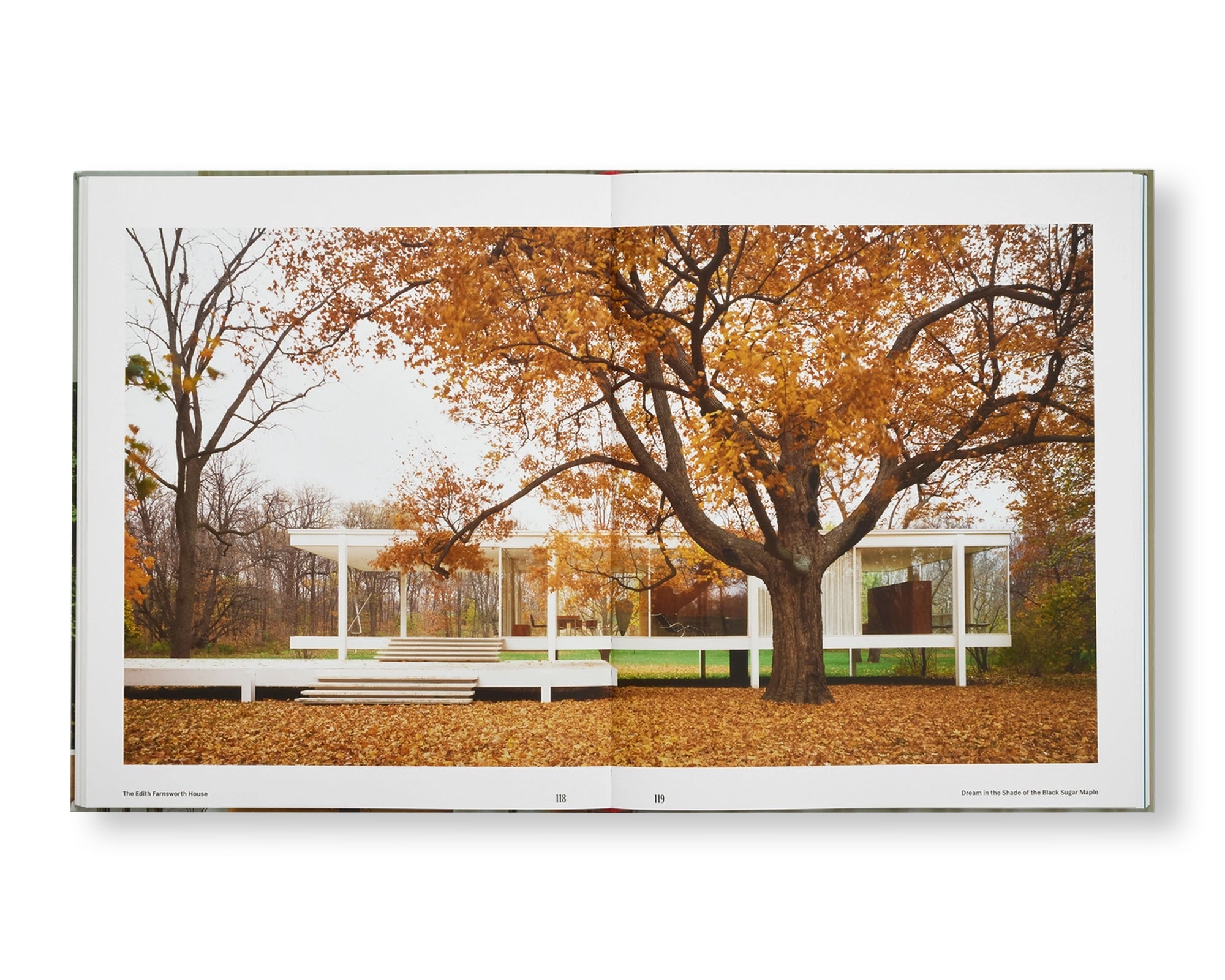 THE EDITH FARNSWORTH HOUSE: ARCHITECTURE, PRESERVATION, CULTURE by Michelangelo Sabatino, Mies van der Rohe