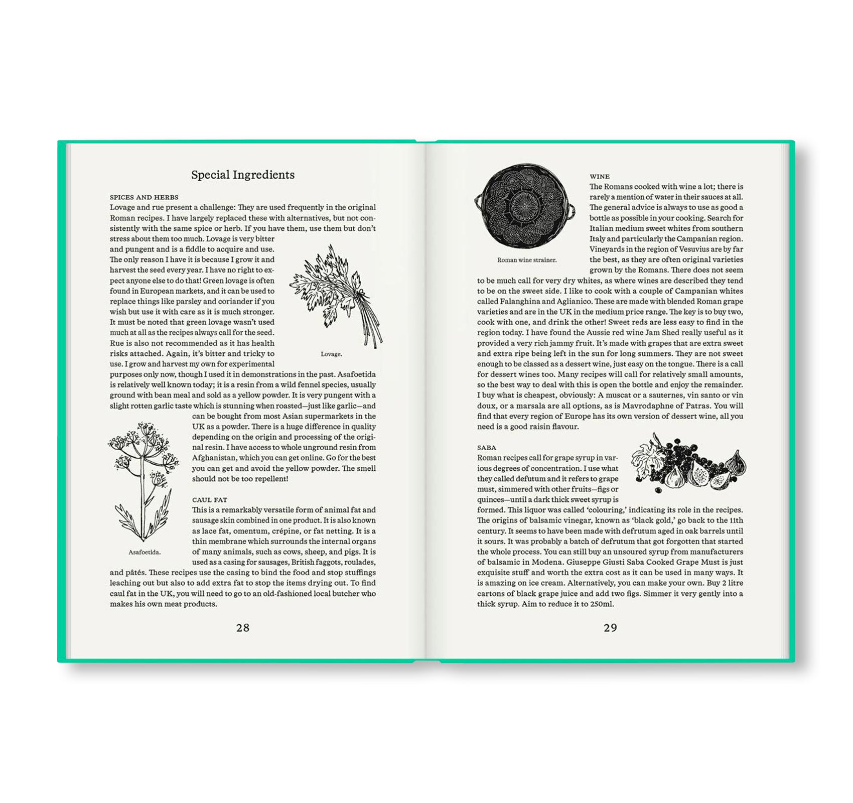 ROMAN RECIPES FOR MODERN COOKS by Sally Grainger