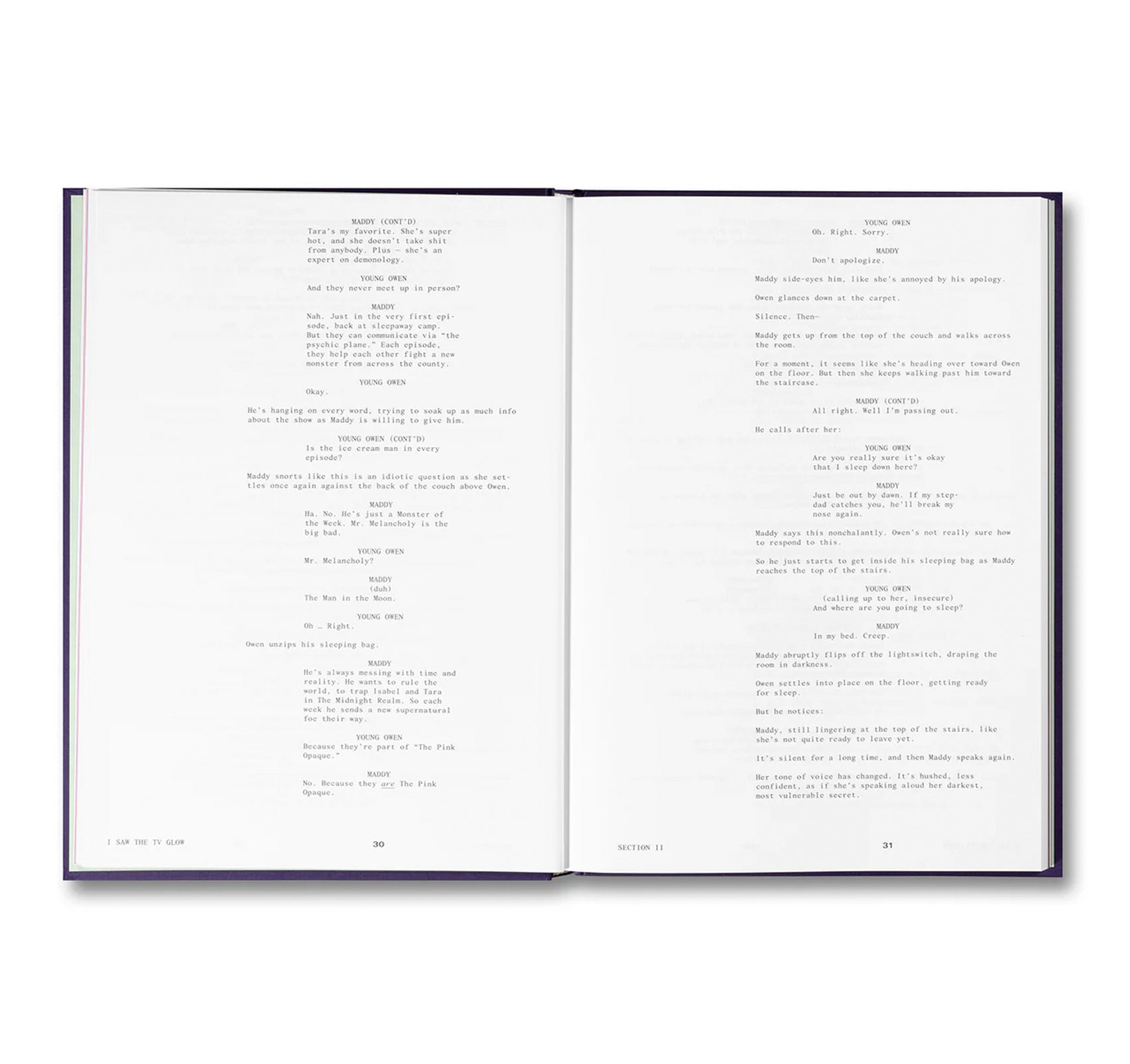 I SAW THE TV GLOW SCREENPLAY BOOK by Jane Schoenbrun