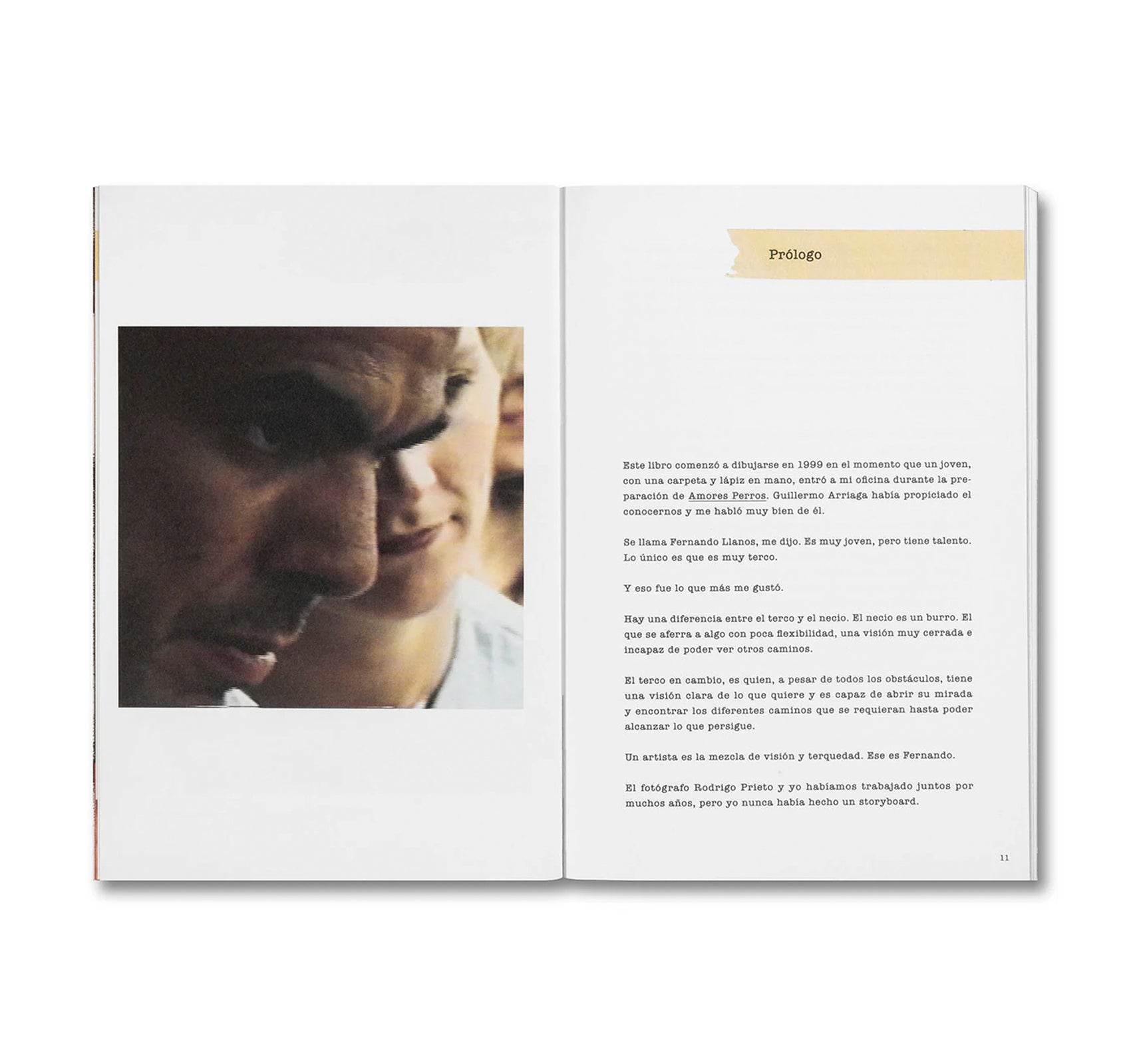 DESATAR AMORES PERROS by Fernando Llanos [SPANISH EDITION]