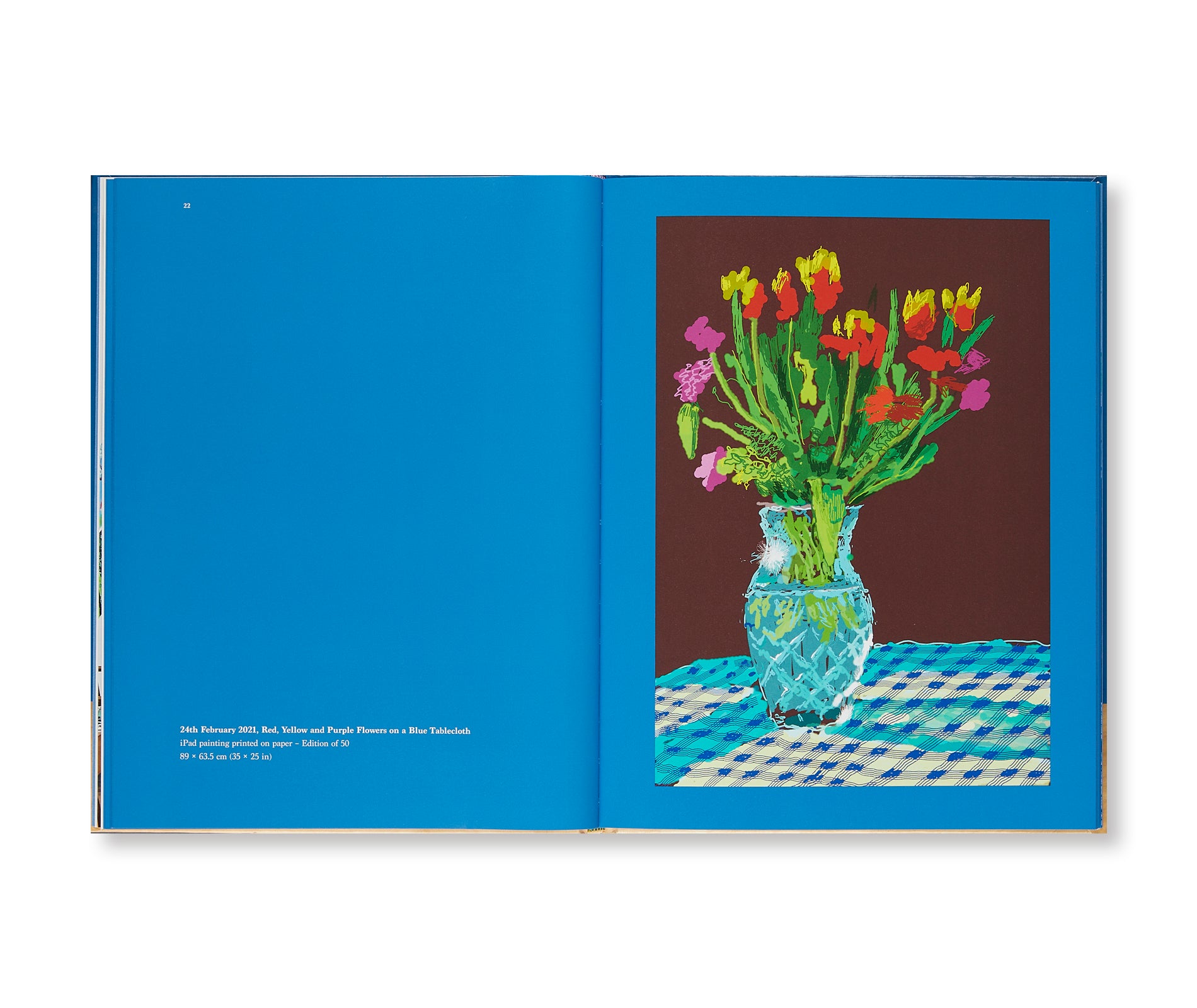 20 FLOWERS AND SOME BIGGER PICTURES by David Hockney