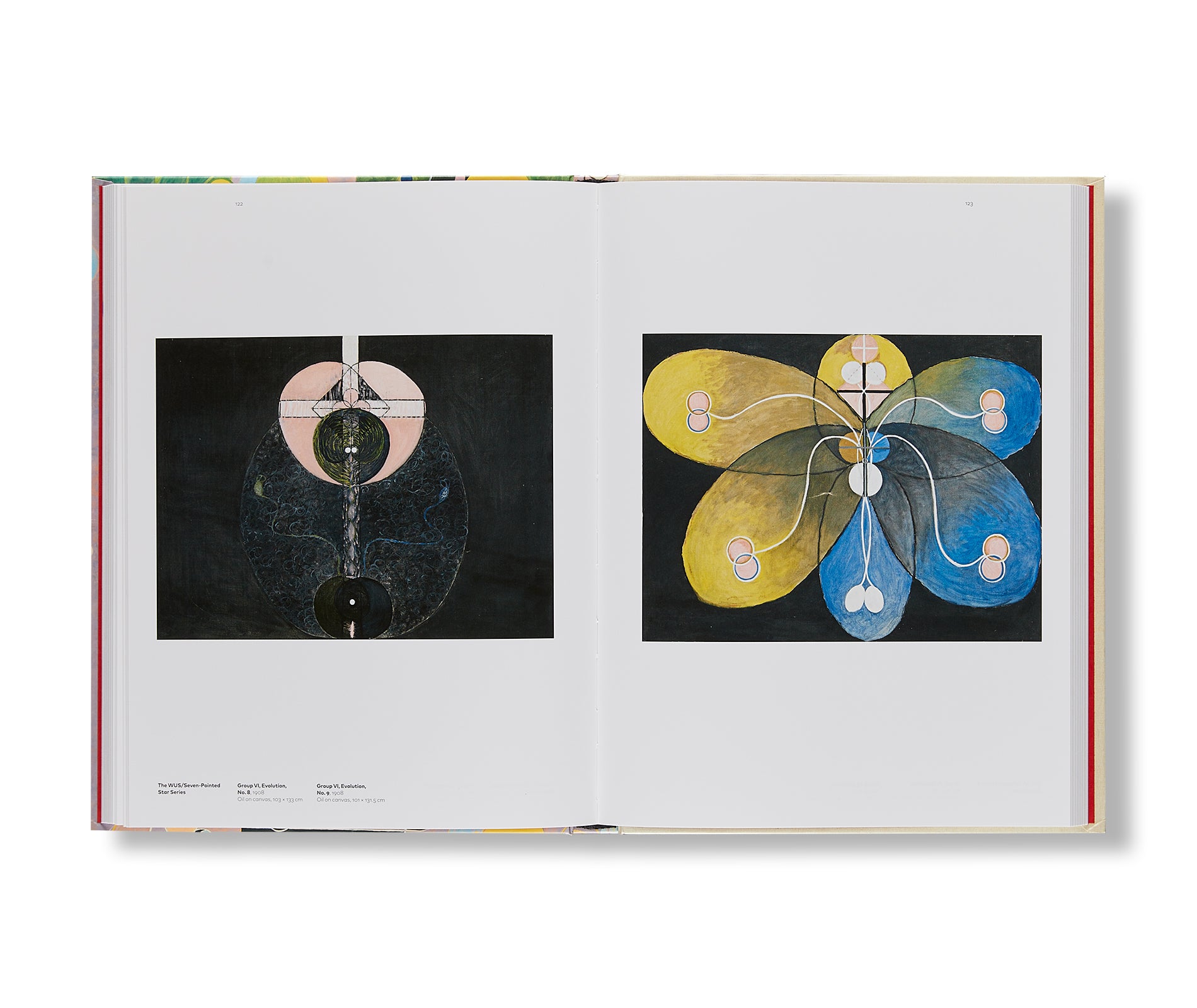 PAINTINGS FOR THE FUTURE by Hilma af Klint