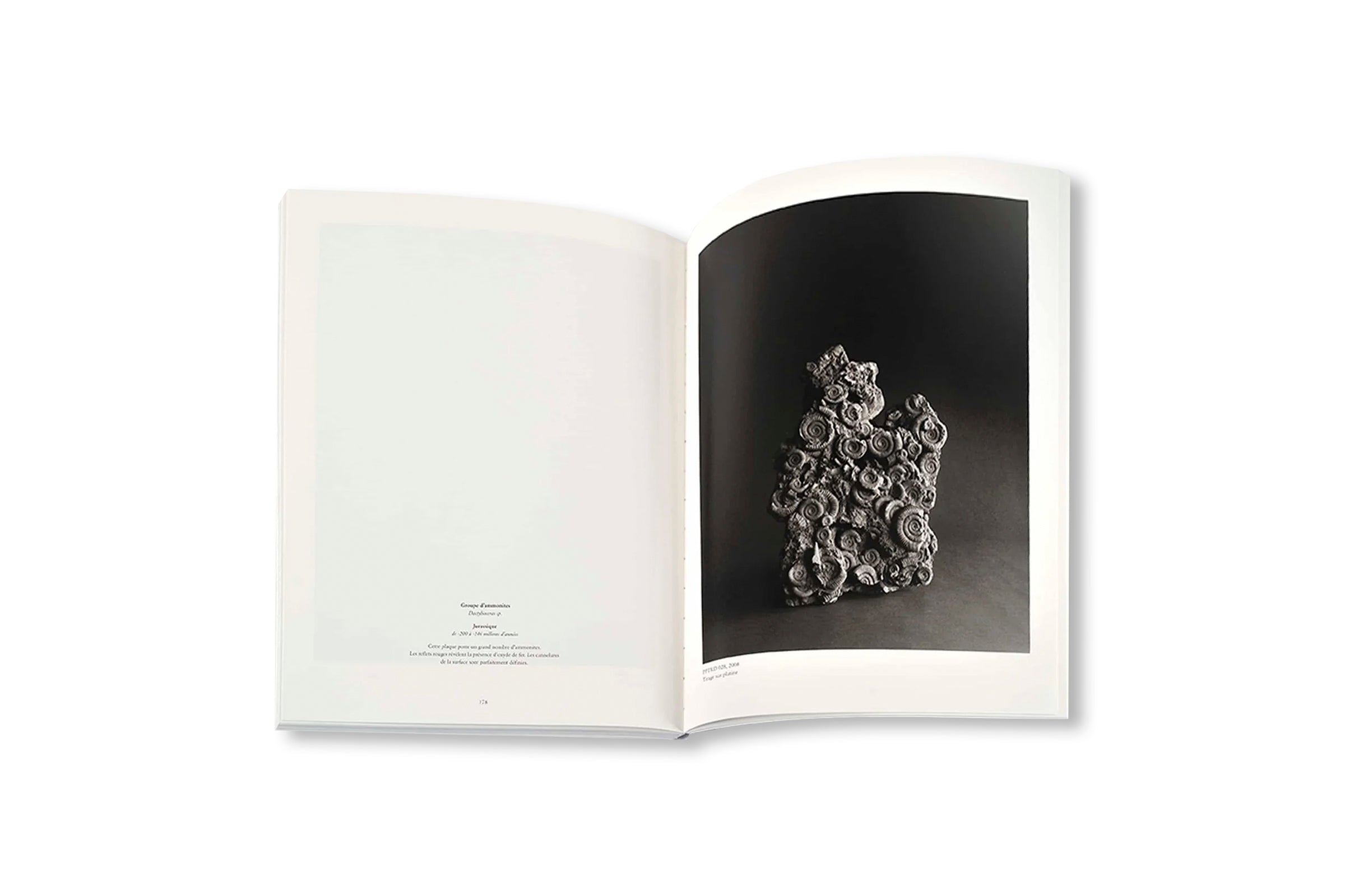 REVUE CAHIERS D’ART, 2014, HIROSHI SUGIMOTO by Hiroshi Sugimoto [STANDARD EDITION]