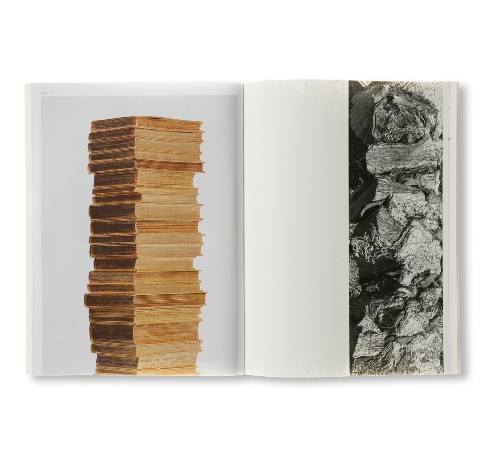 BOOK OF STACKS, STACKS OF BOOKS by Jared Bark