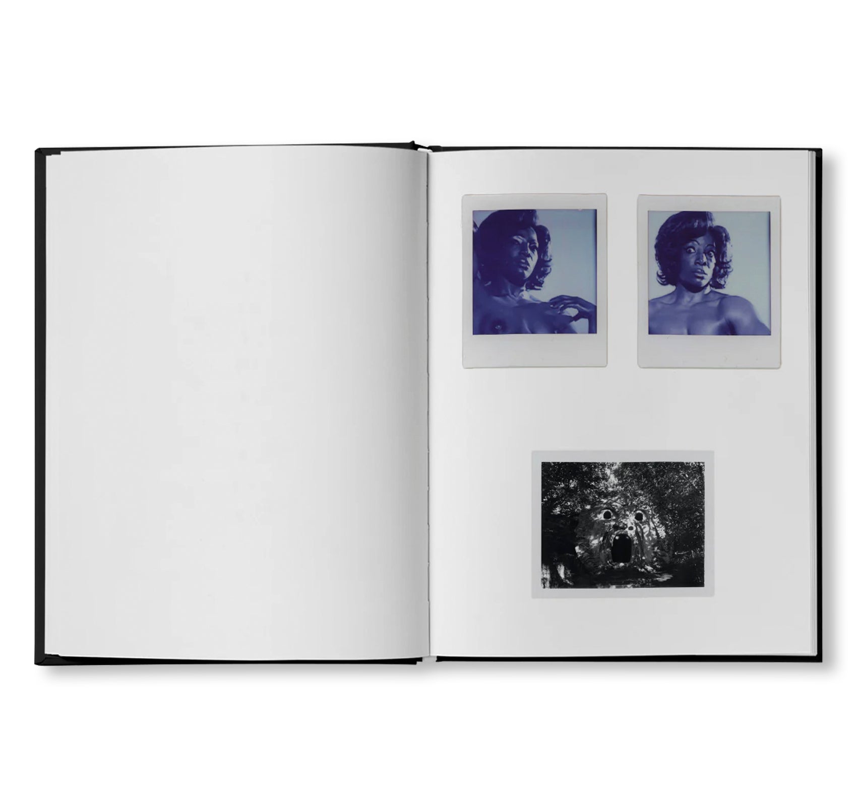 POLAROIDS by Camille Vivier