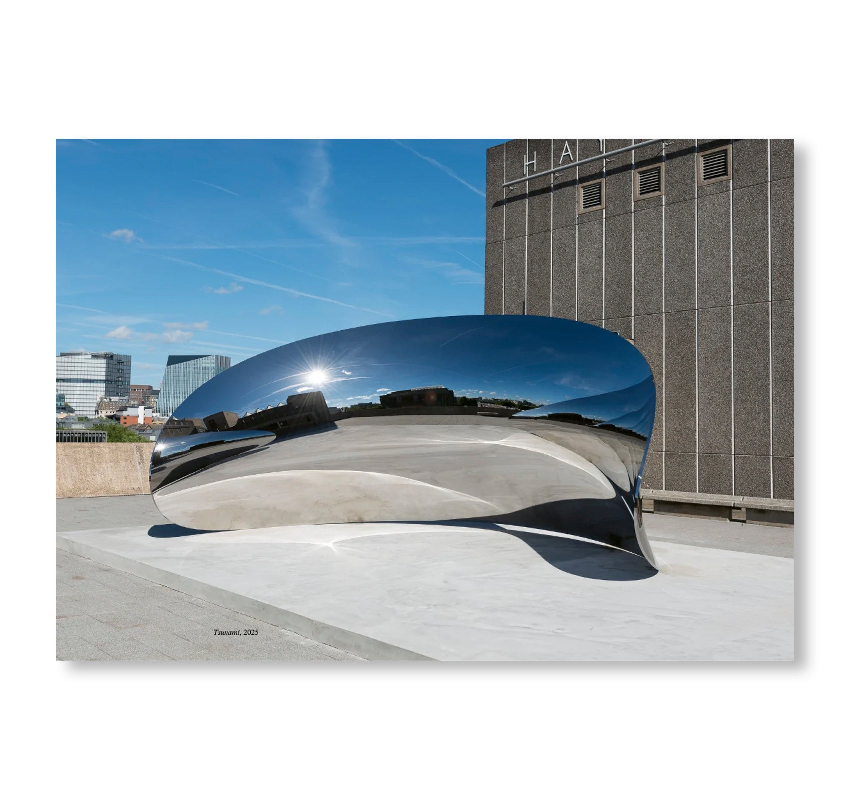 ANISH KAPOOR by Anish Kapoor (HAYWARD GALLERY PUBLISHING)