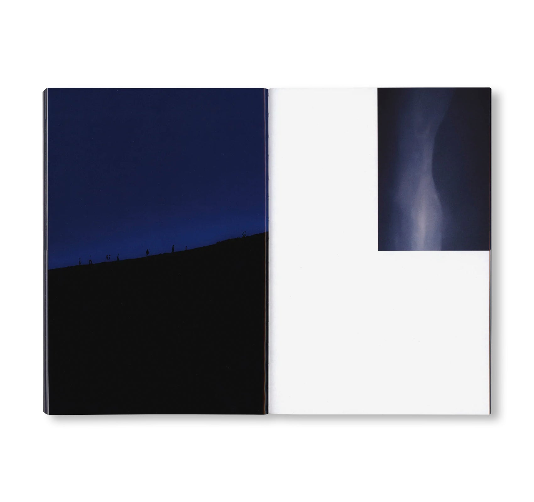 SEQUENCES by Yuichiro Noda