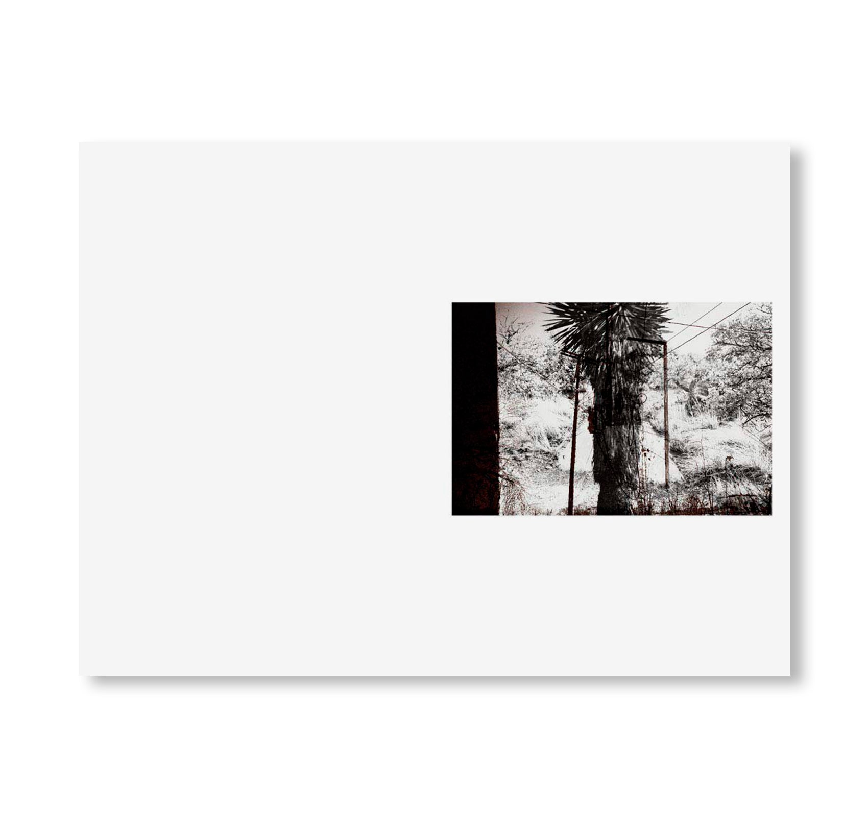 SWAMP by Christopher Wool [SIGNED]