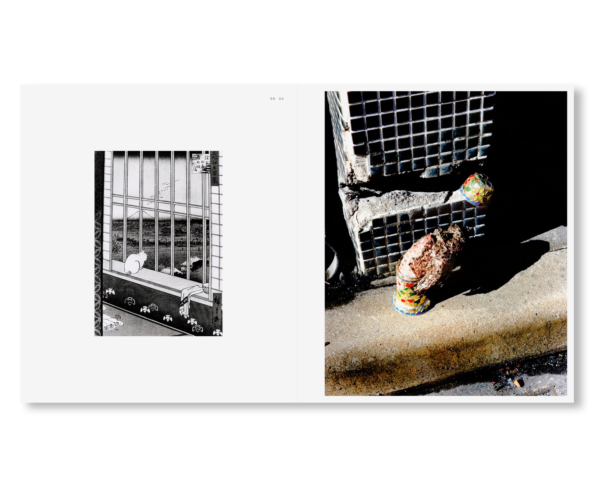 TOKYO FISHGRAPHS II by Naohiro Harada [SIGNED]