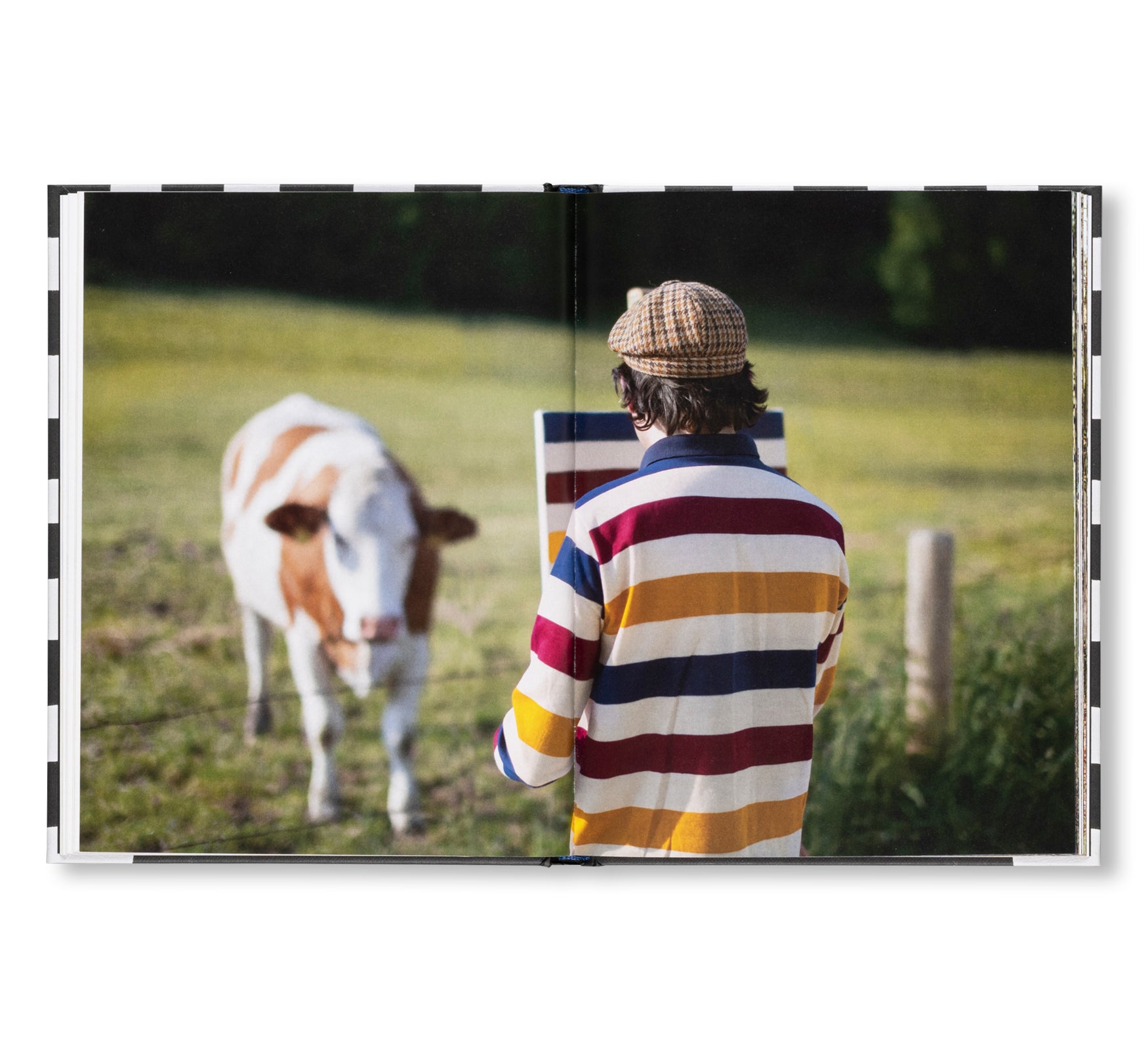 UND IM SOMMER TU ICH MALEN by Fabian Schubert, Hank Schmidt in der Beek [THIRD EDITION]