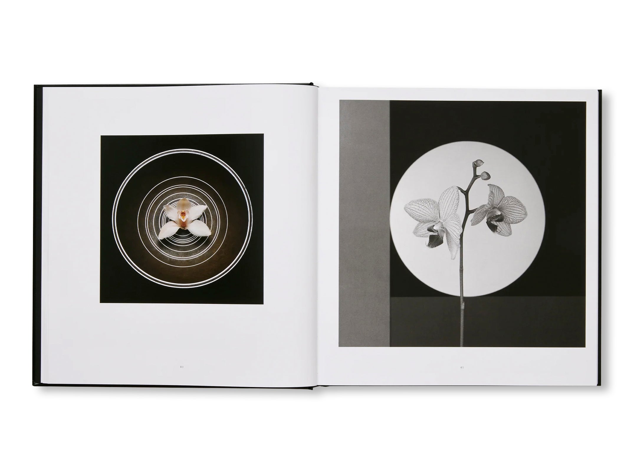 MAPPLETHORPE FLORA: THE COMPLETE FLOWERS by Robert Mapplethorpe