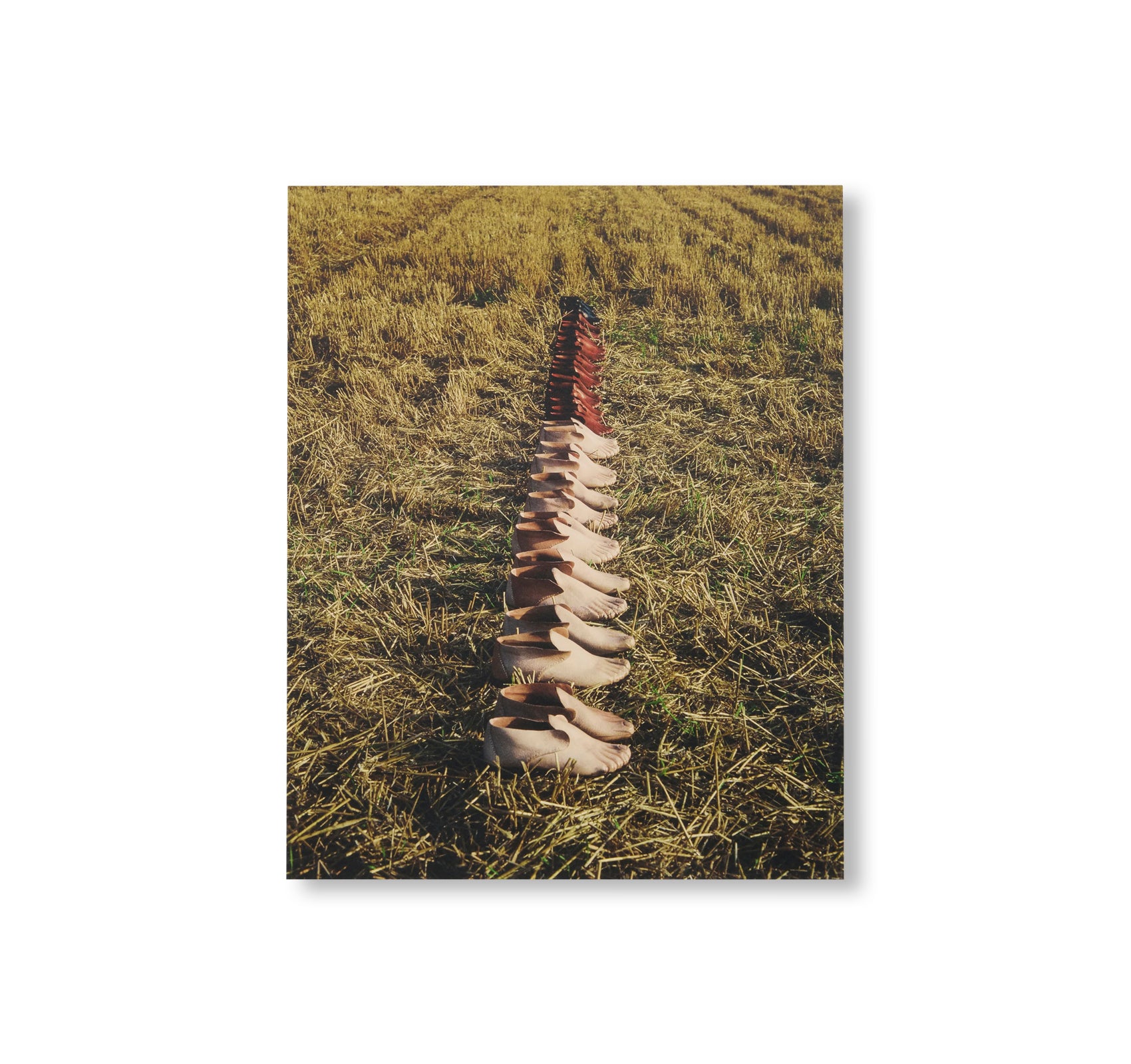 CARLOS PEÑAFIEL by Carlos Peñafiel