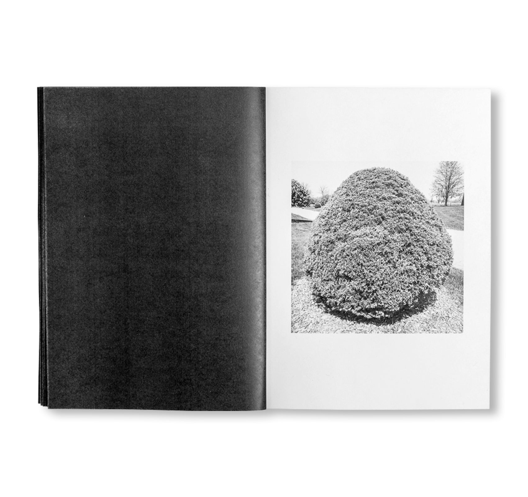 SHRUBS OF DEATH by Mike Slack [ENGLISH COVER / SIGNED]