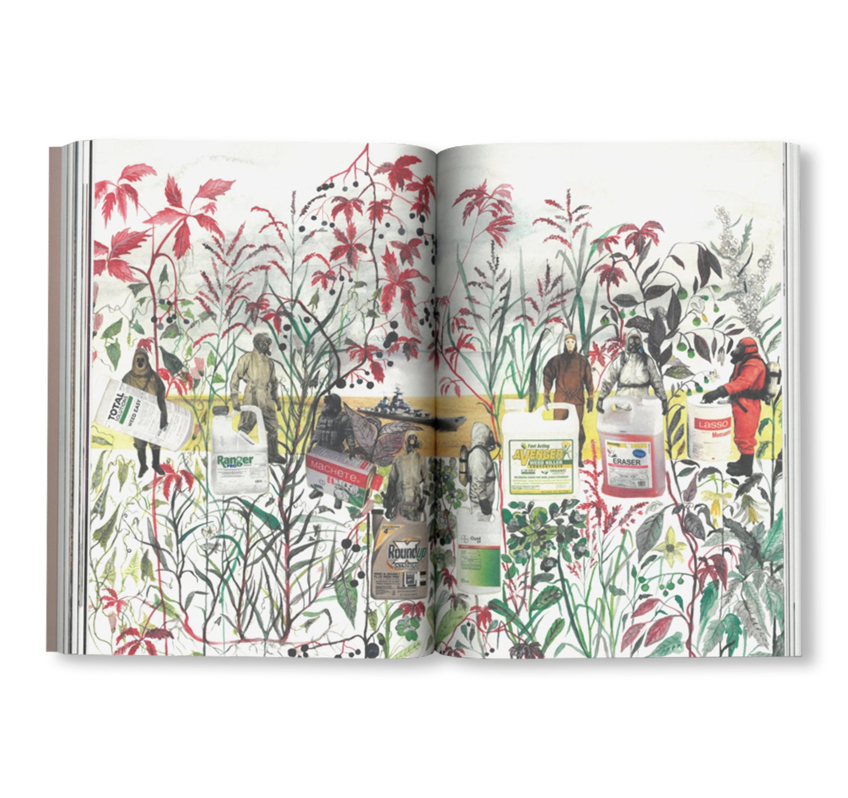 SEEDS - RECLAIMING ROOTS, SOWING FUTURES