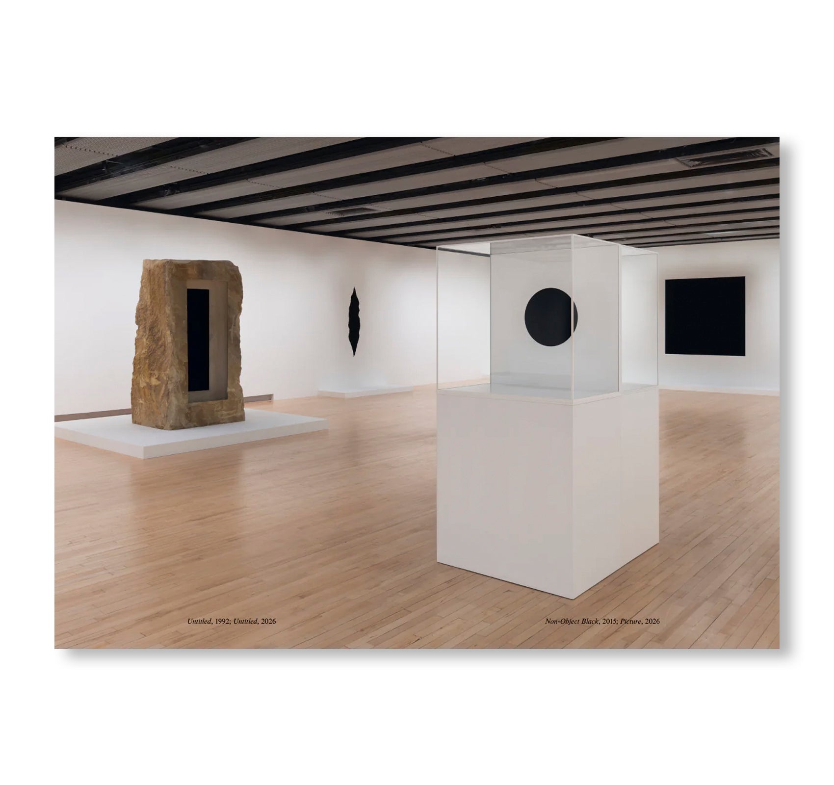 ANISH KAPOOR by Anish Kapoor (HAYWARD GALLERY PUBLISHING)