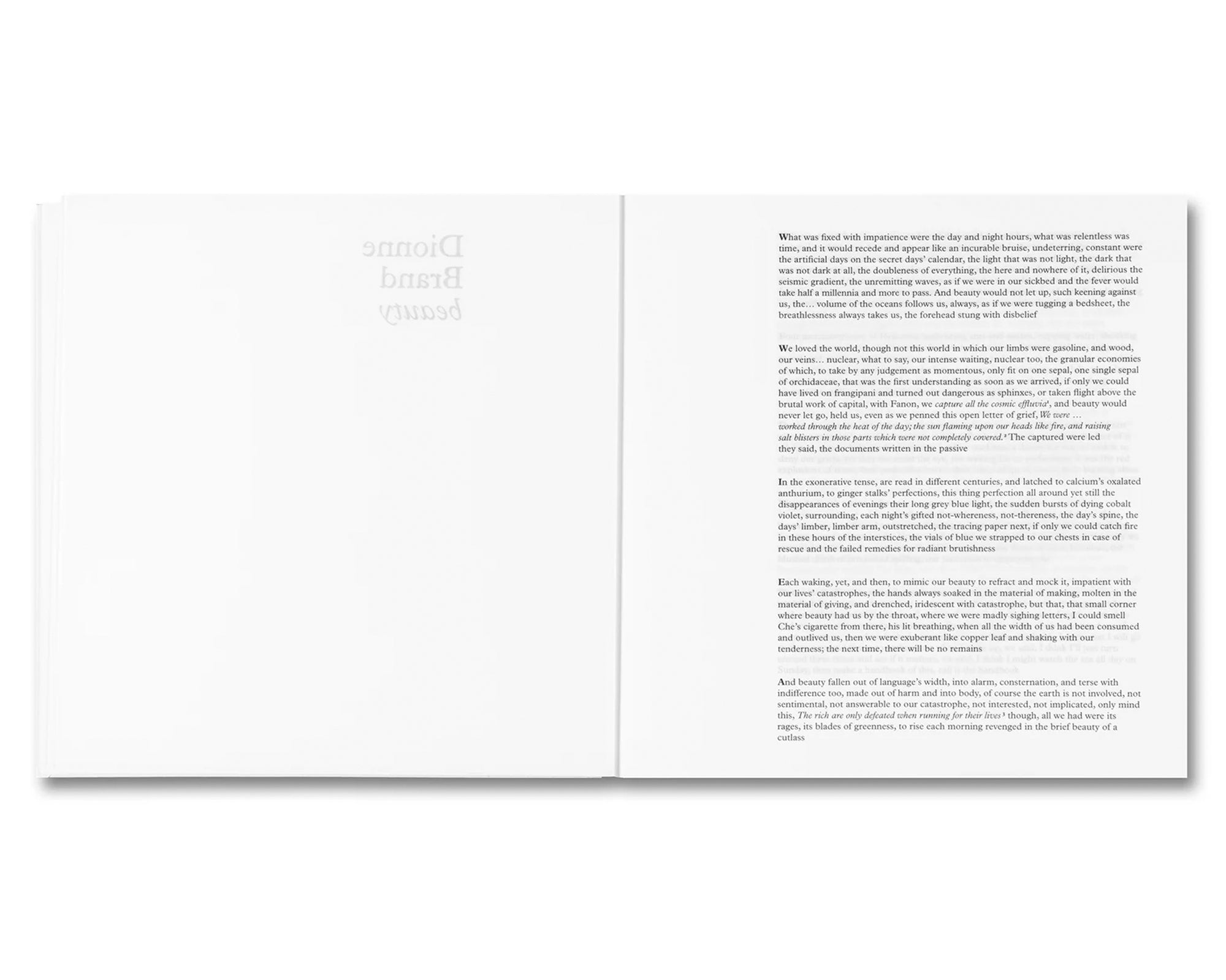 BOUNTY by Steve McQueen