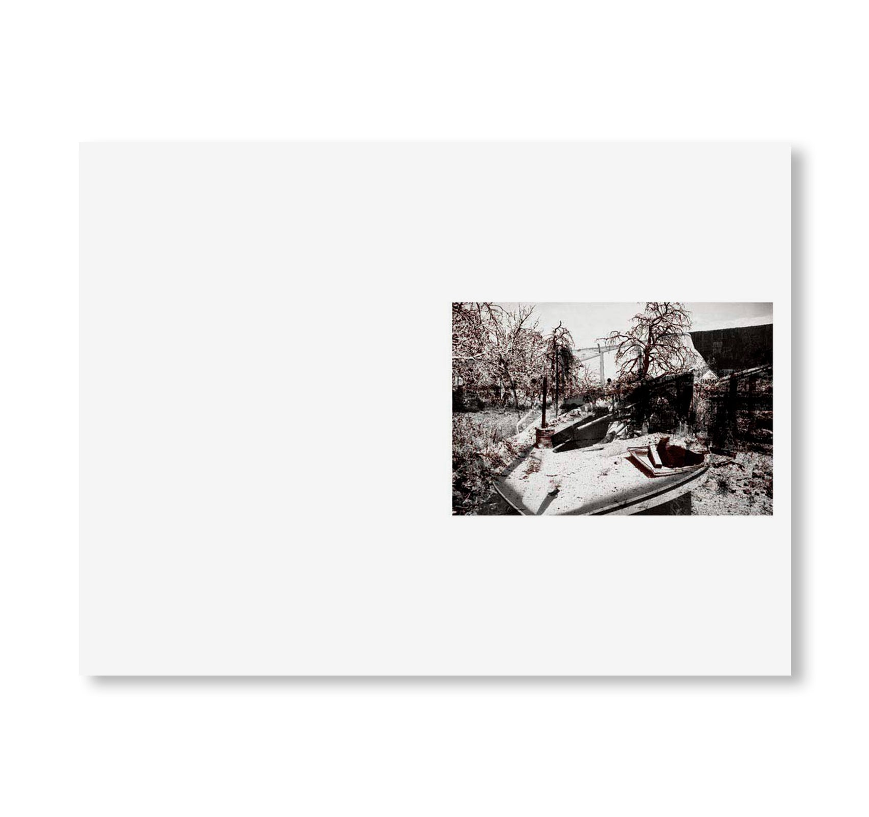 SWAMP by Christopher Wool [SIGNED]