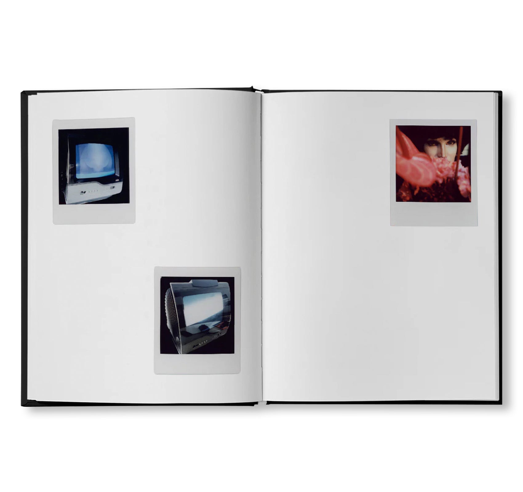 POLAROIDS by Camille Vivier