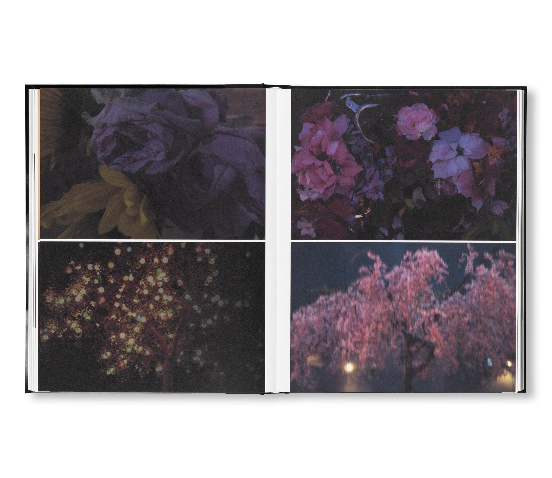 SAKIKO NOMURA: TENDER IS THE NIGHT by Sakiko Nomura