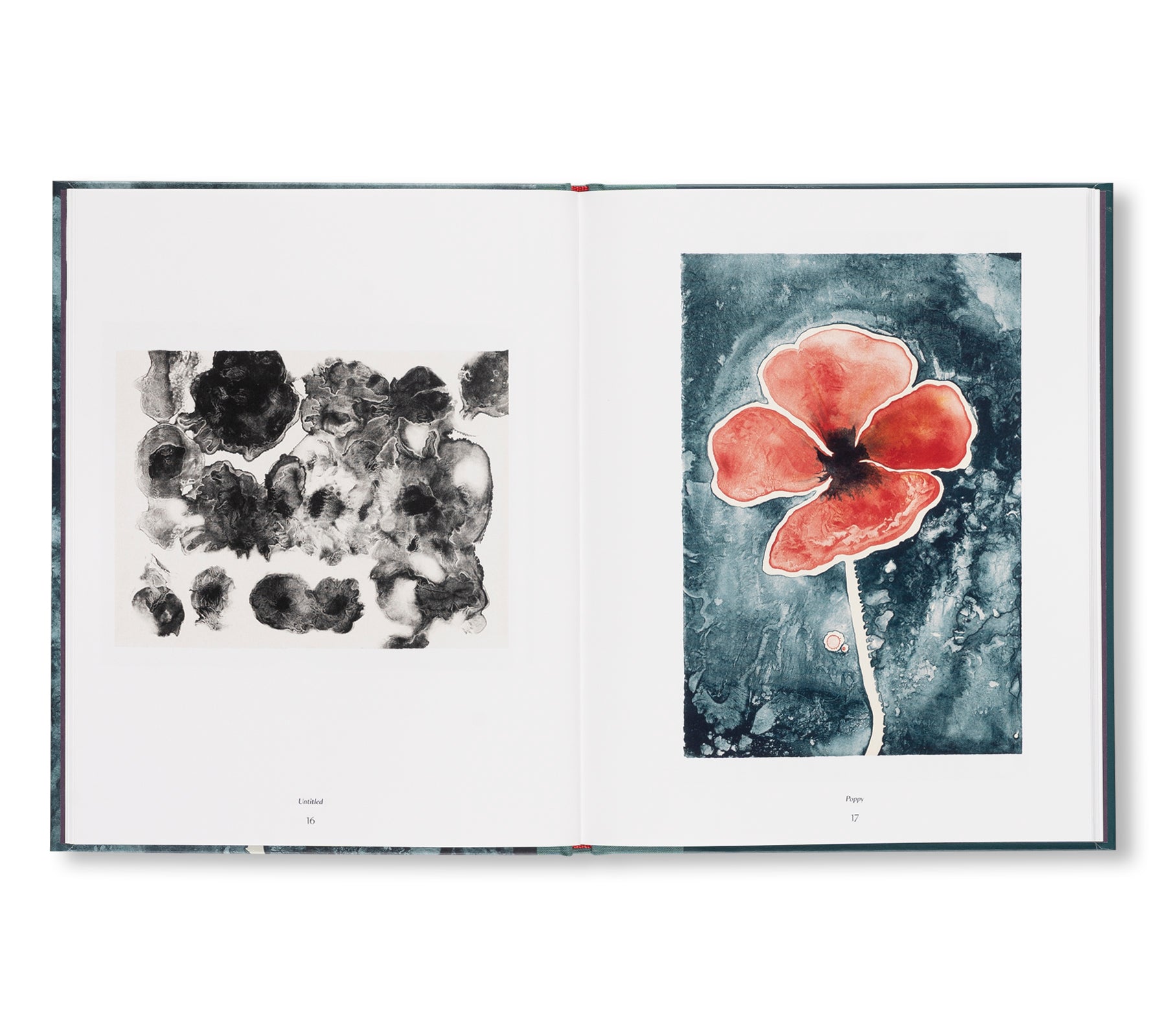 THE TAMARIND PRINTS by Ruth Asawa