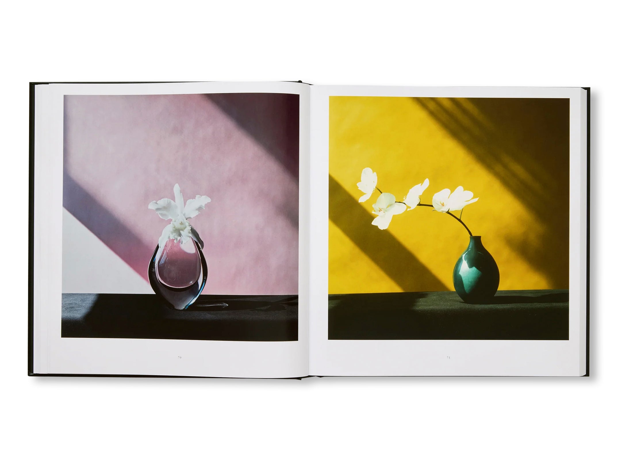 MAPPLETHORPE FLORA: THE COMPLETE FLOWERS by Robert Mapplethorpe