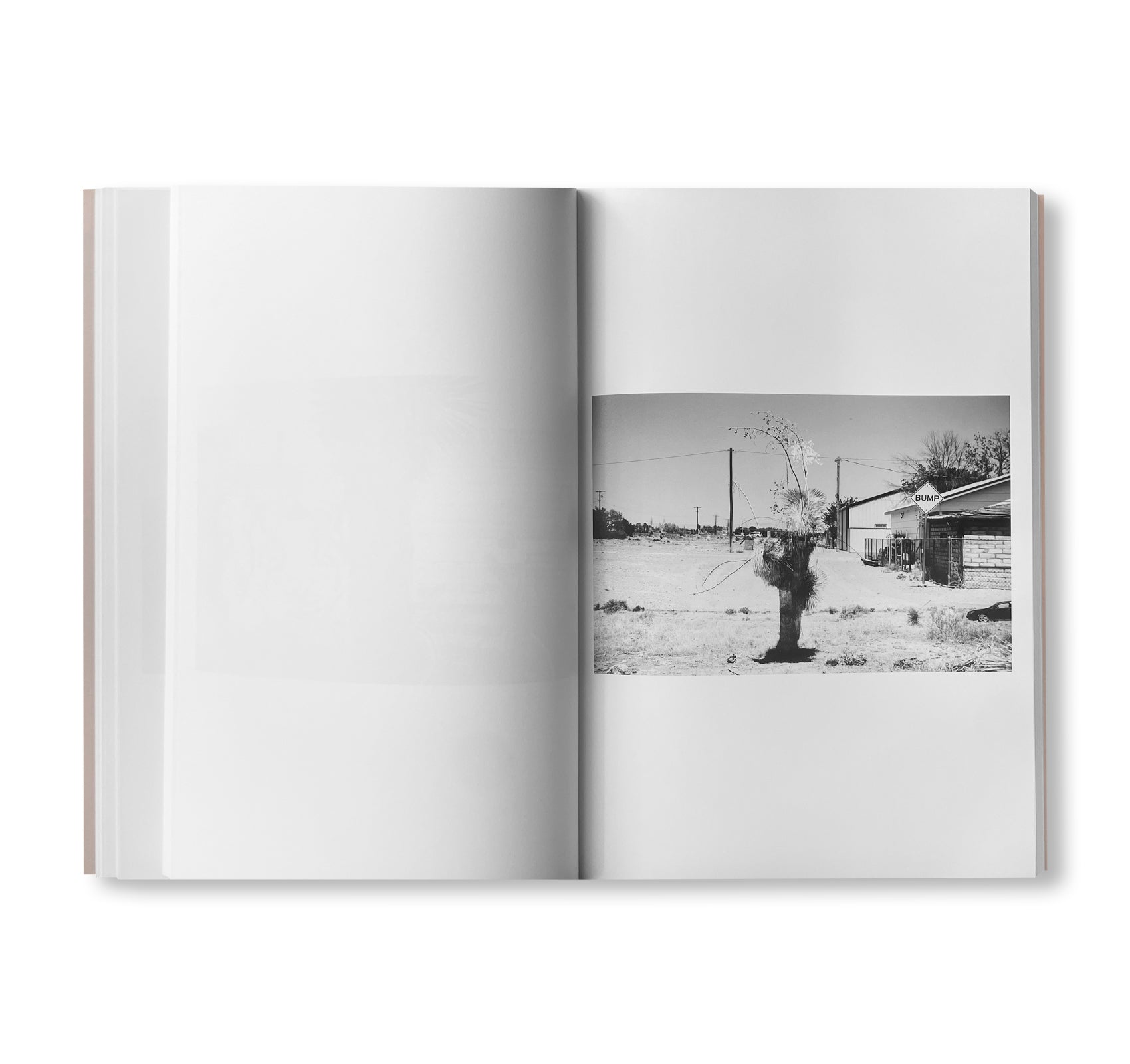YARD by Christopher Wool [SIGNED]