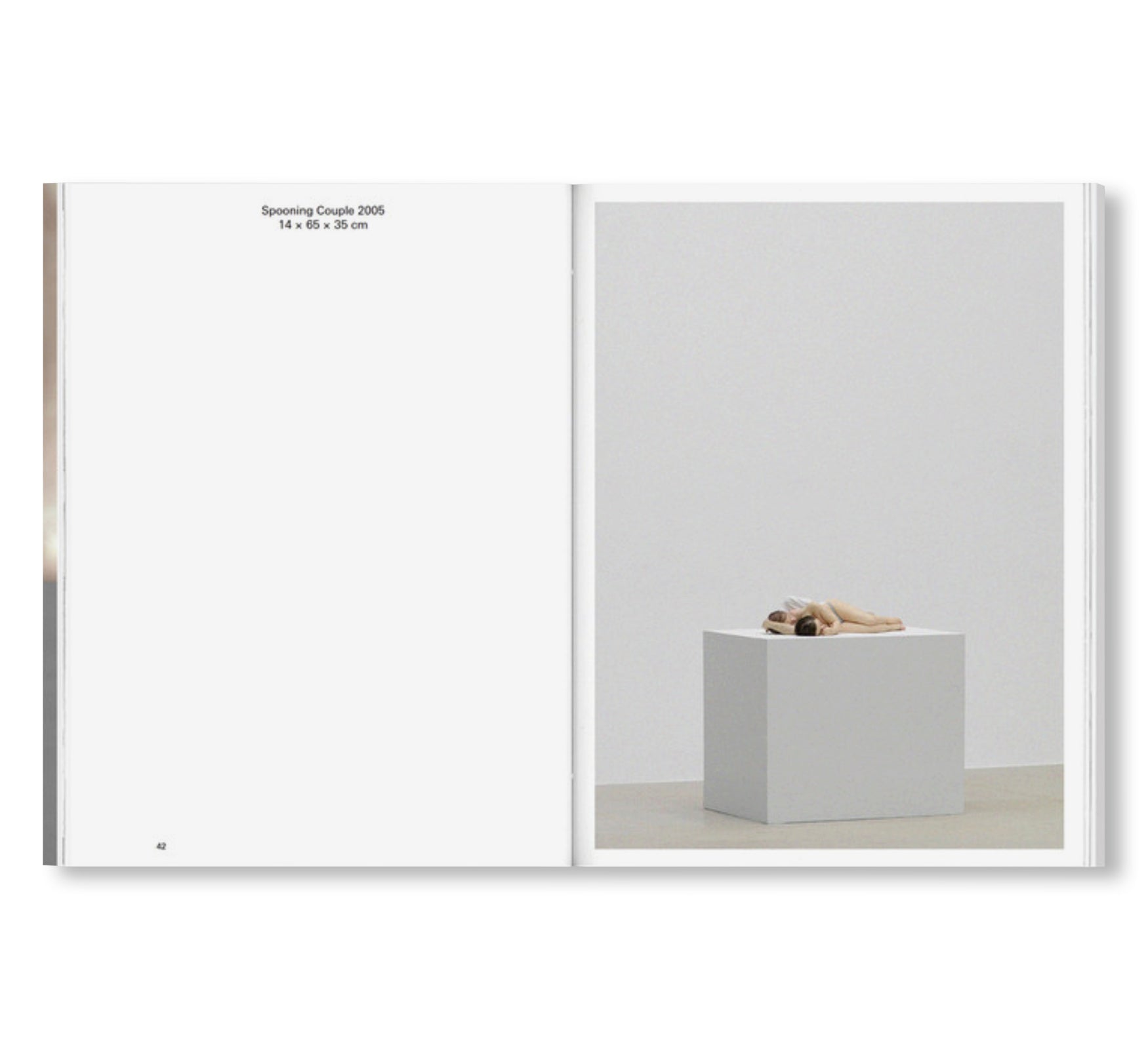 ENCOUNTER by Ron Mueck