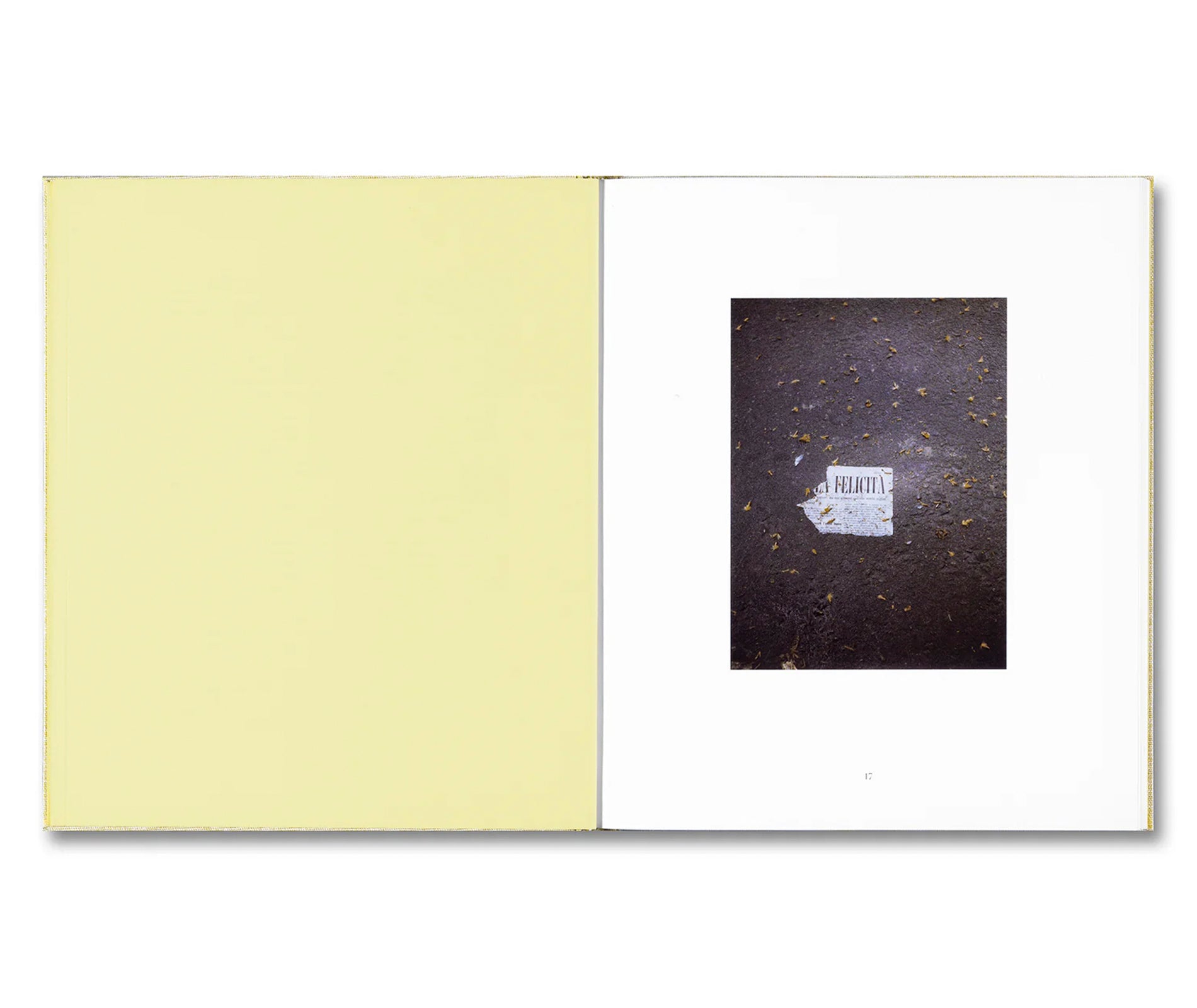 LUIGI GHIRRI FELICITÀ by Alessio Bolzoni, Luca Guadagnino