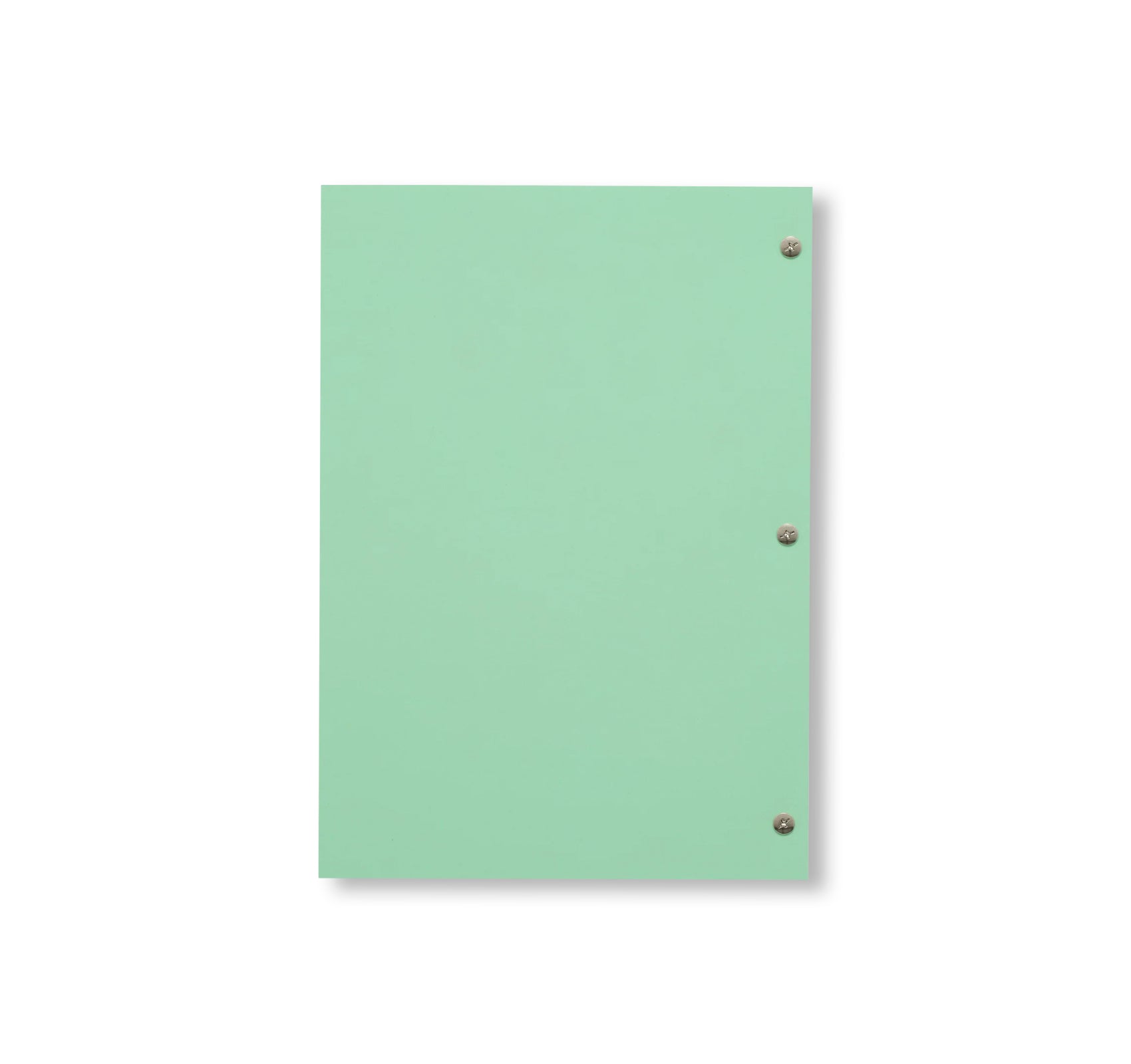 ANNE IMHOF'S DOOM DOCUMENTED BY TESS PETRONIO by Tess Petronio