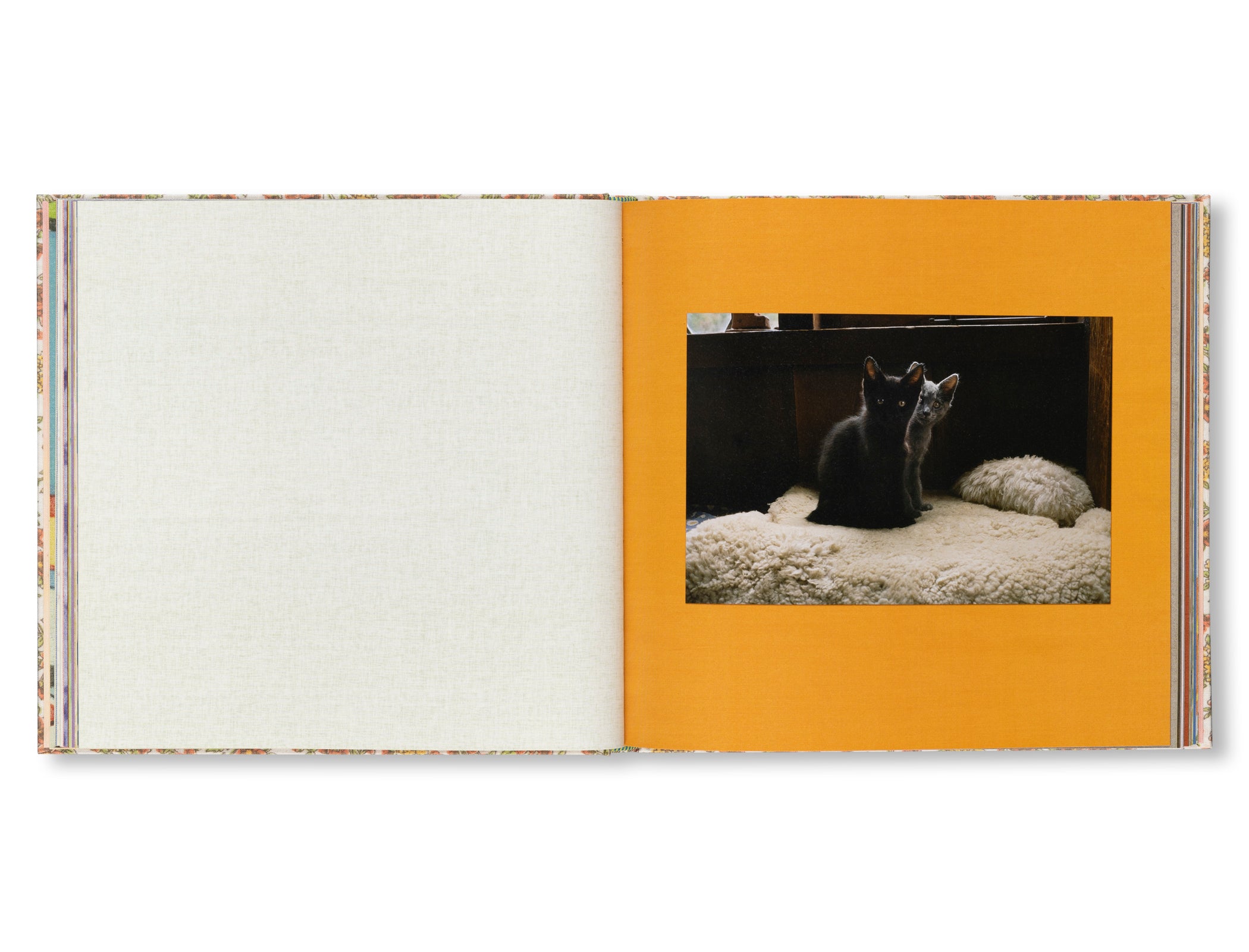 STONE SOUP by Eric Ruby