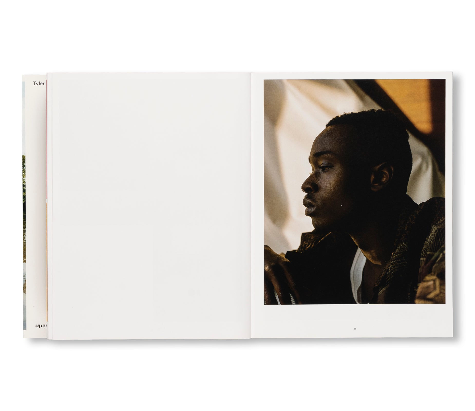 WISH THIS WAS REAL by Tyler Mitchell