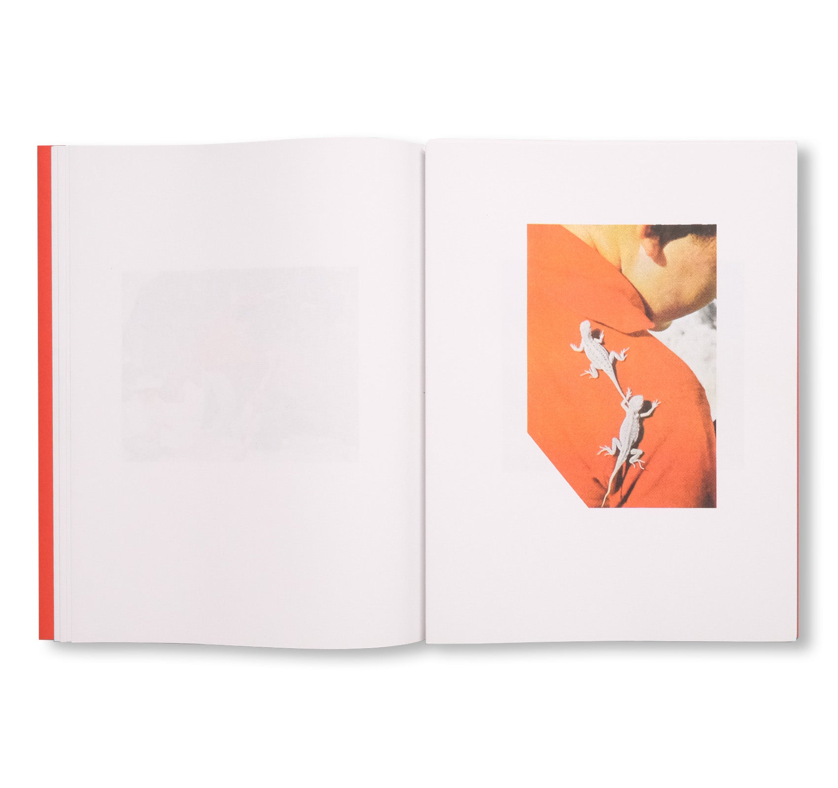 COLOUR THEORY by Max Pinckers & Victoria Gonzalez-Figueras [SIGNED]