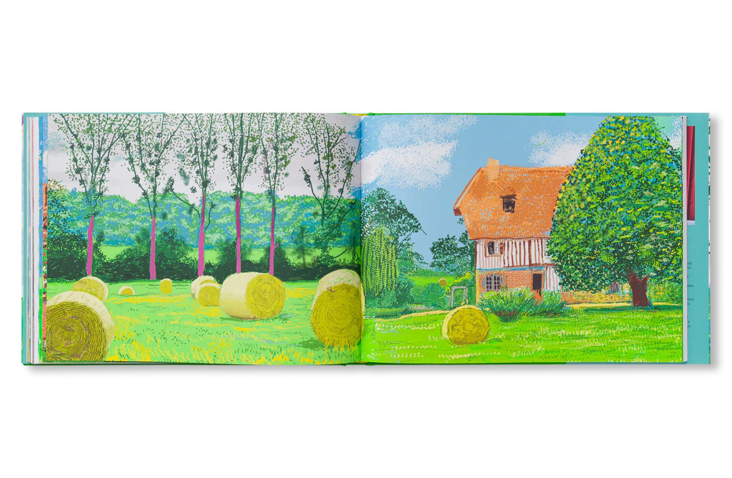 DAVID HOCKNEY: A YEAR IN NORMANDIE AND SOME OTHER THOUGHTS ABOUT PAINTING by David Hockney