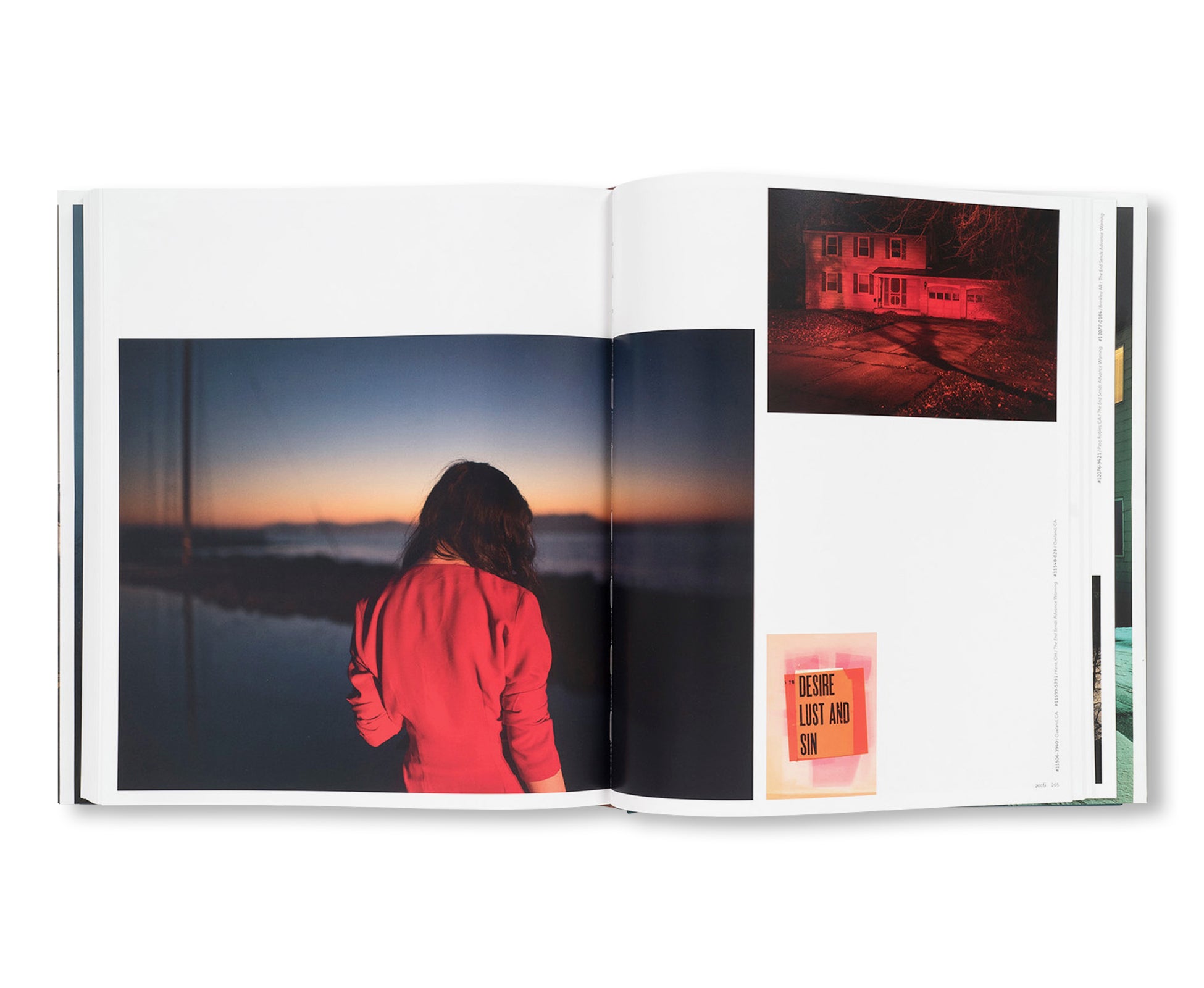 INTIMATE DISTANCE: OVER THIRTY YEARS OF PHOTOGRAPHS, A CHRONOLOGICAL ALBUM  by Todd Hido [REVISED AND EXPANDED EDITION]