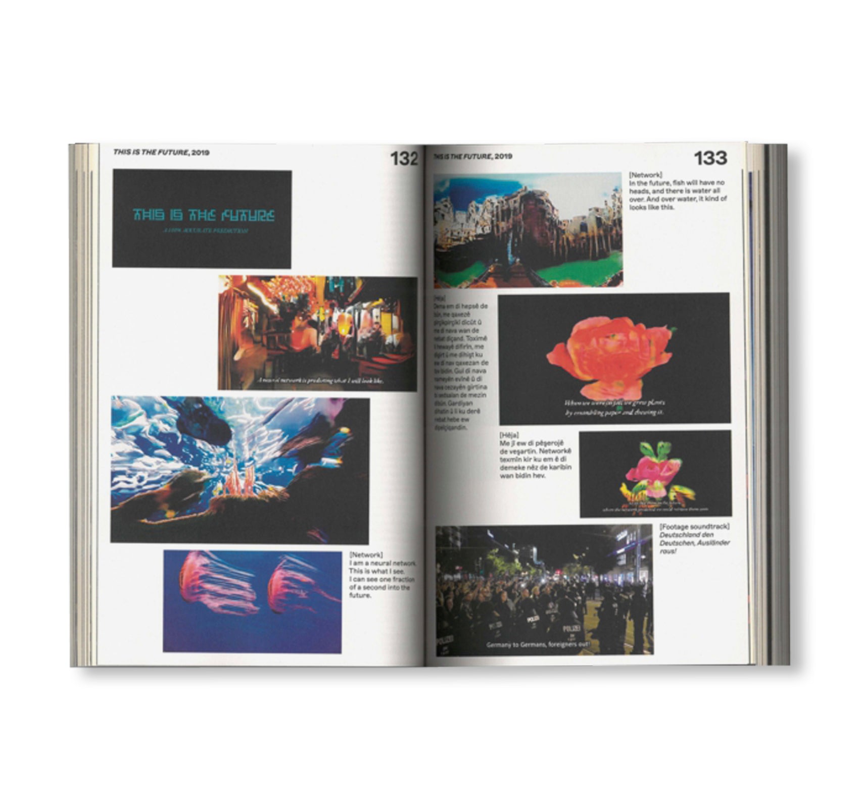 I WILL SURVIVE by Hito Steyerl [ENGLISH / FRENCH EDITION]