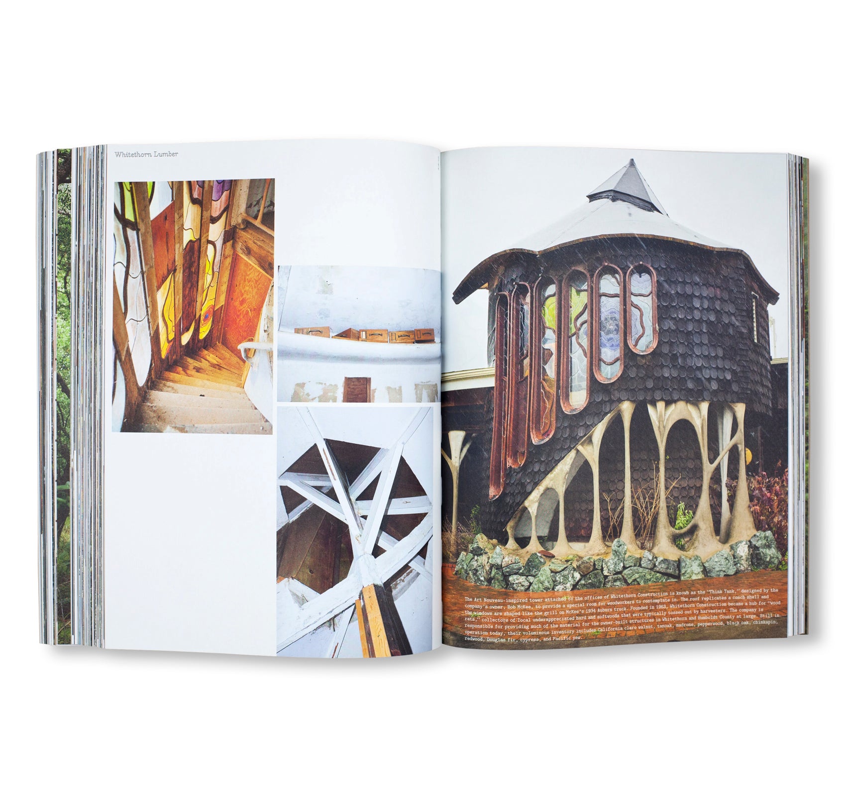 HANDMADE UTOPIA: BACK-TO-THE-LAND ARCHITECTURE IN NORTHERN CALIFORNIA by David Jacob Kramer, Michael Schmelling