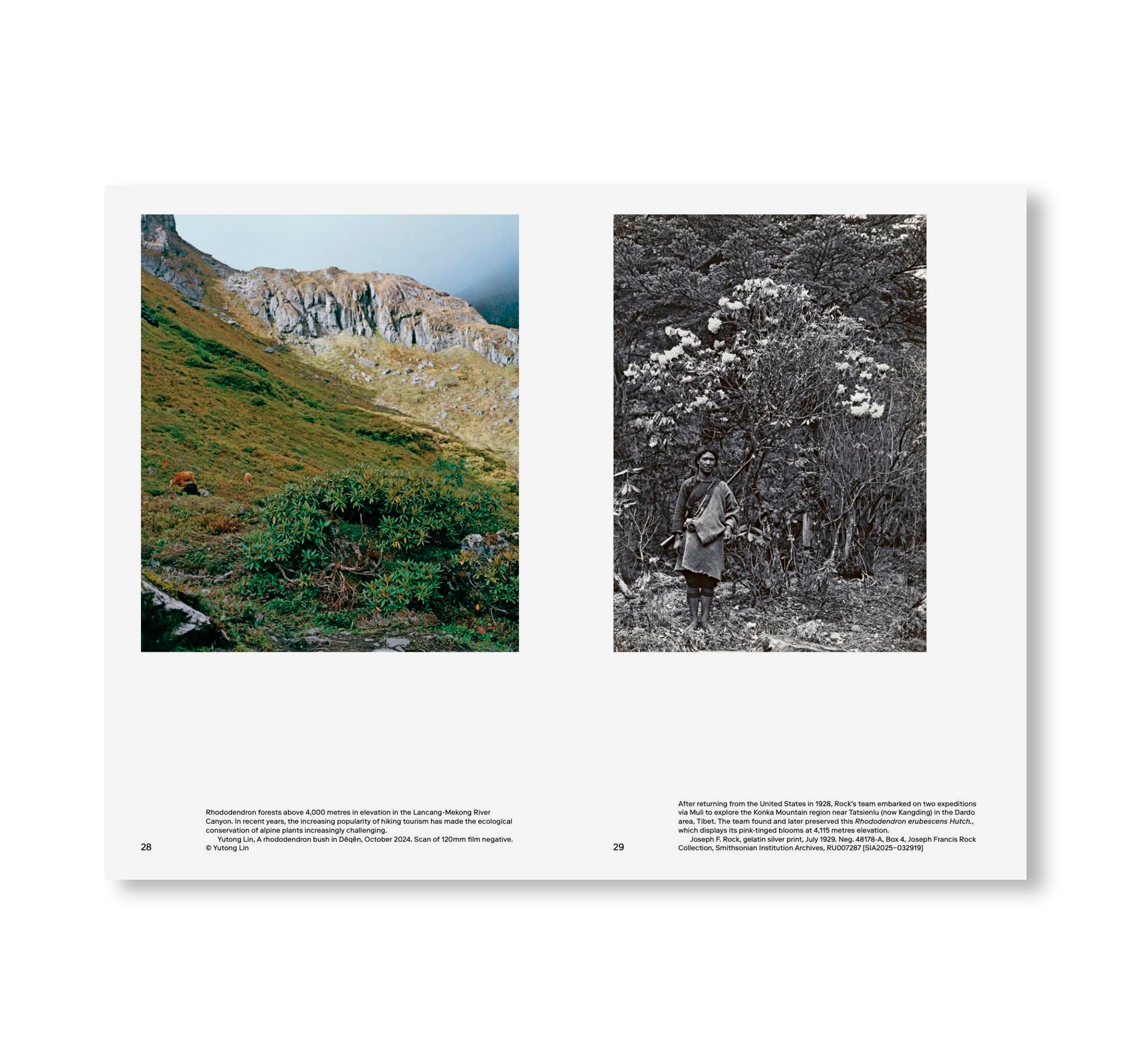 ZOMIA GARDEN by Yutong Lin