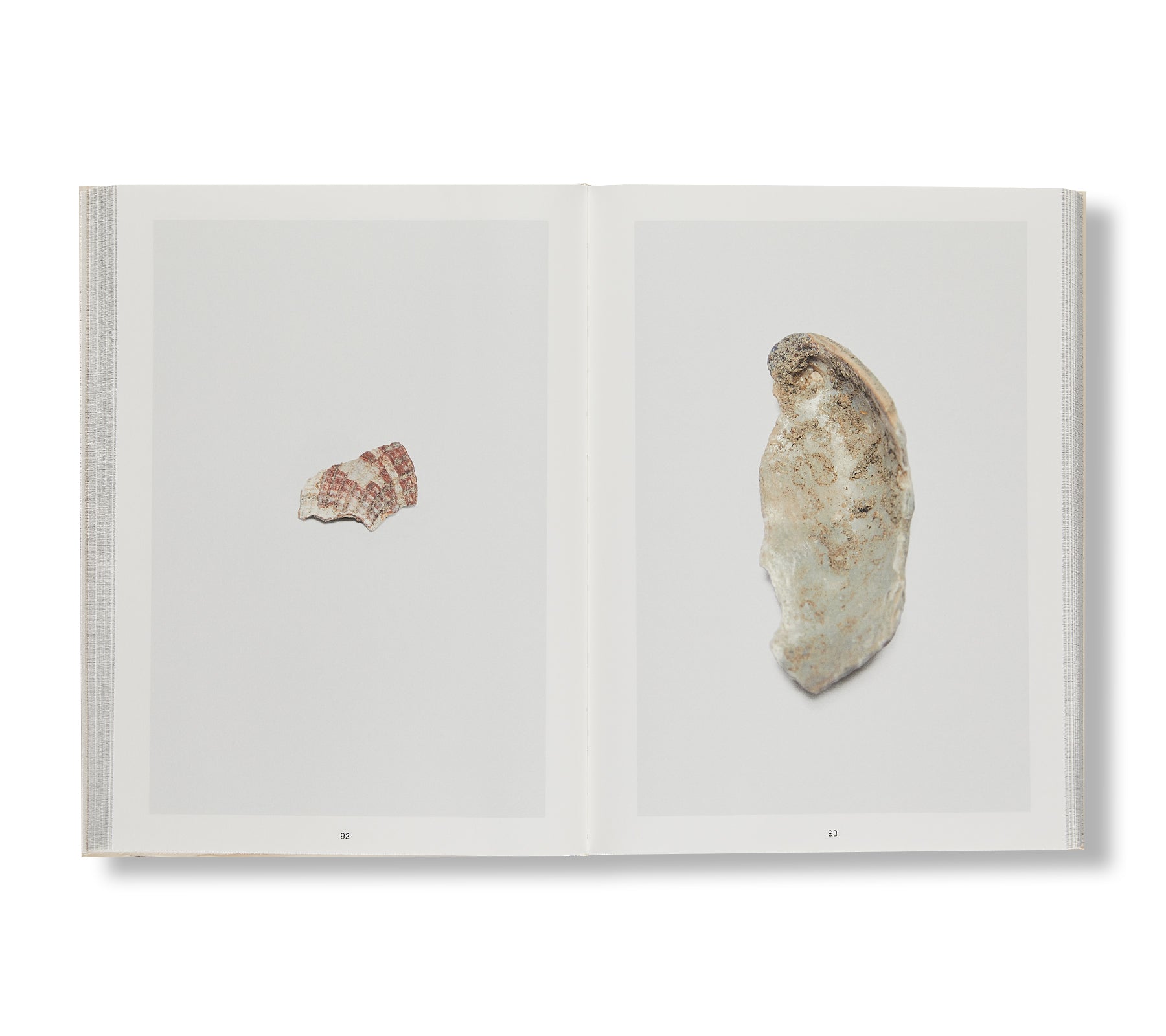 SHELL READER by Nina Canell