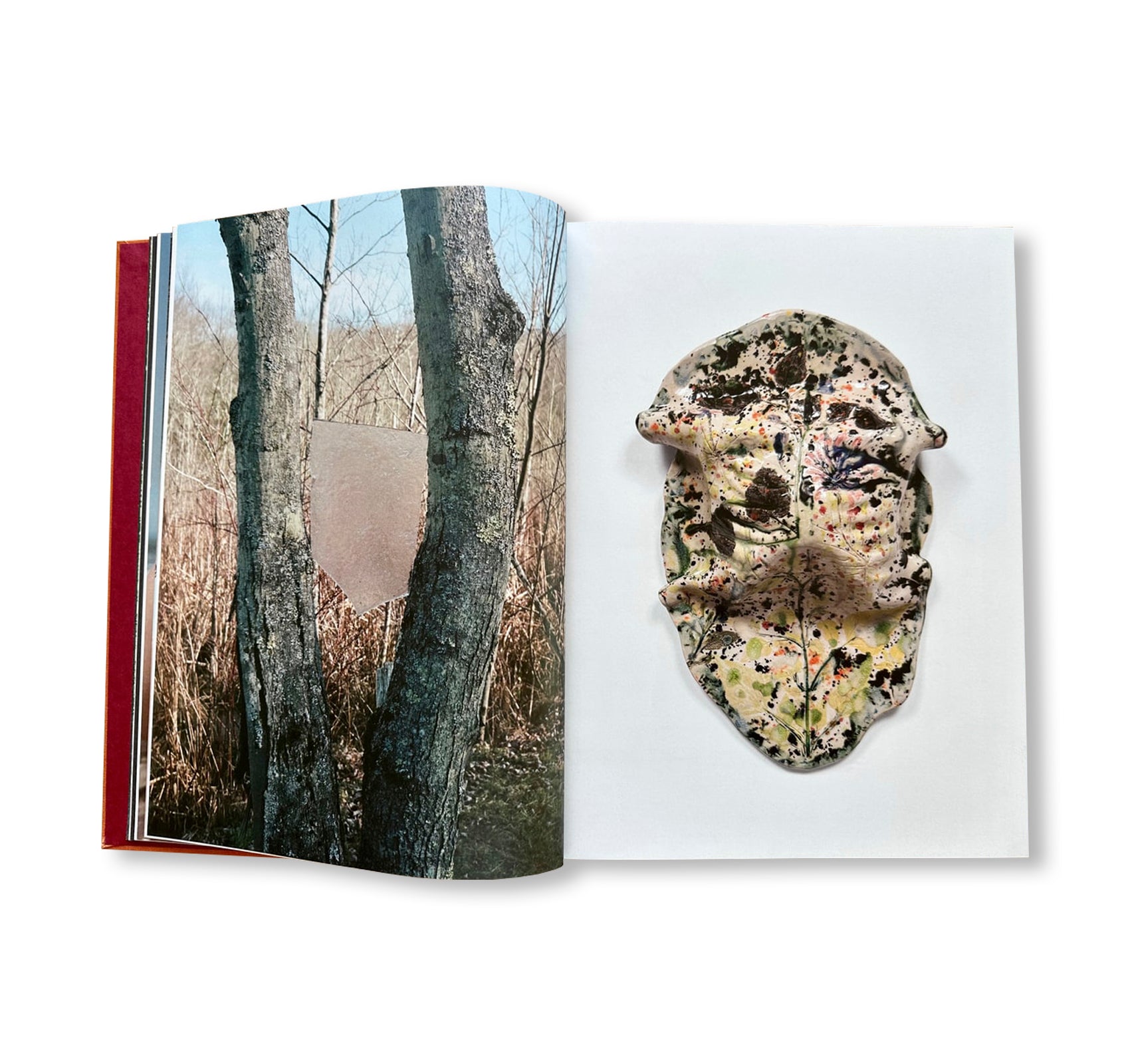 AFTER LIFE by Sam Falls