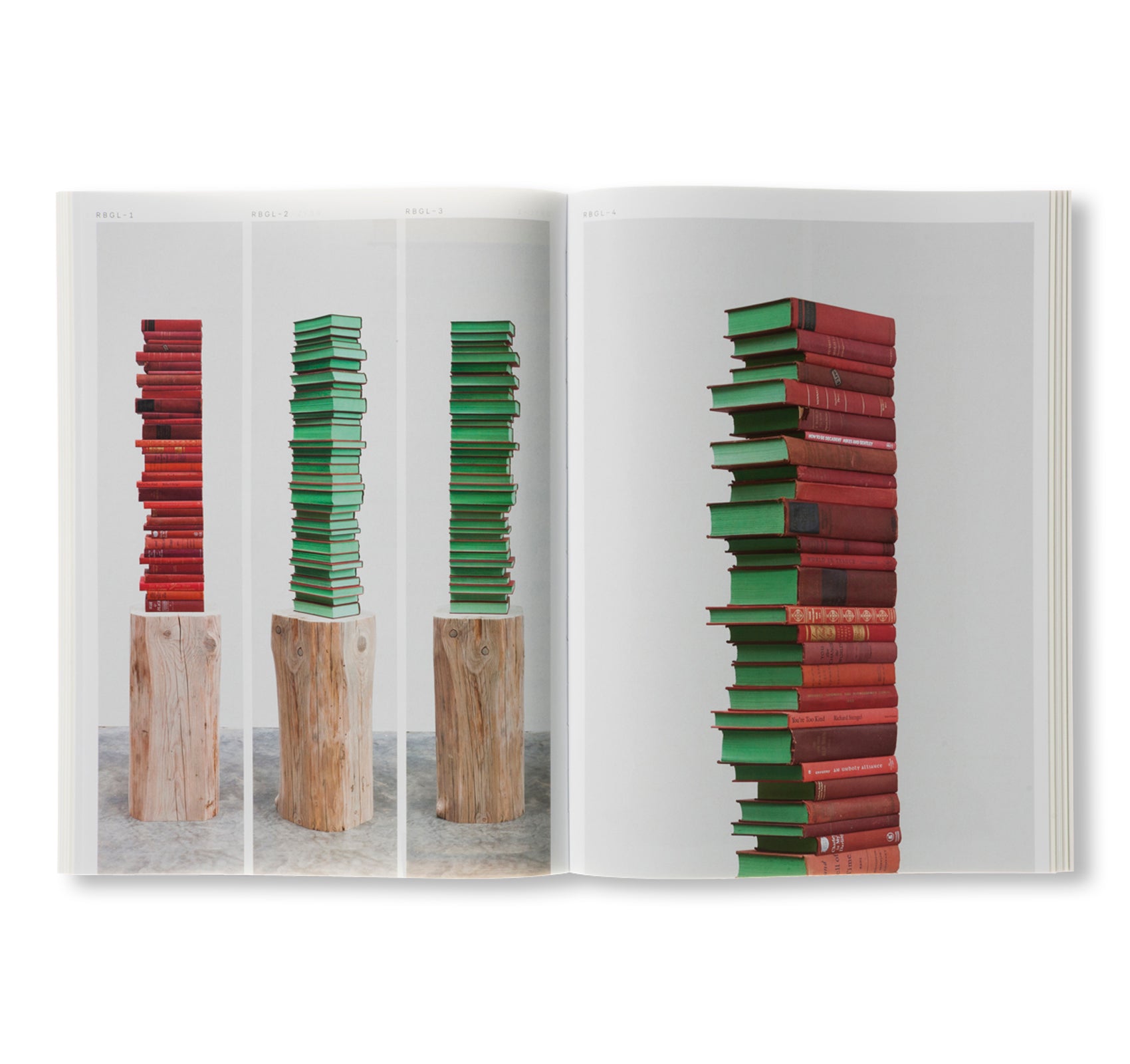 BOOK OF STACKS, STACKS OF BOOKS by Jared Bark