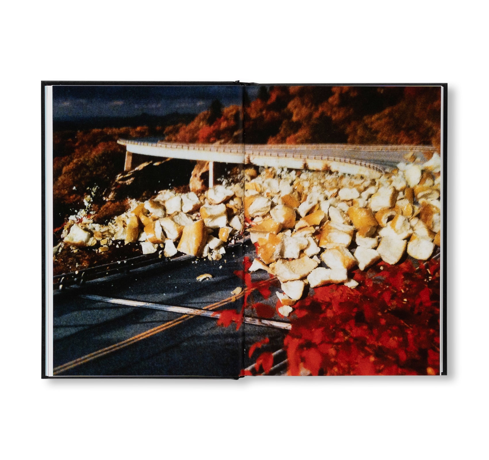 SEAT ASSIGNMENT by Nina Katchadourian