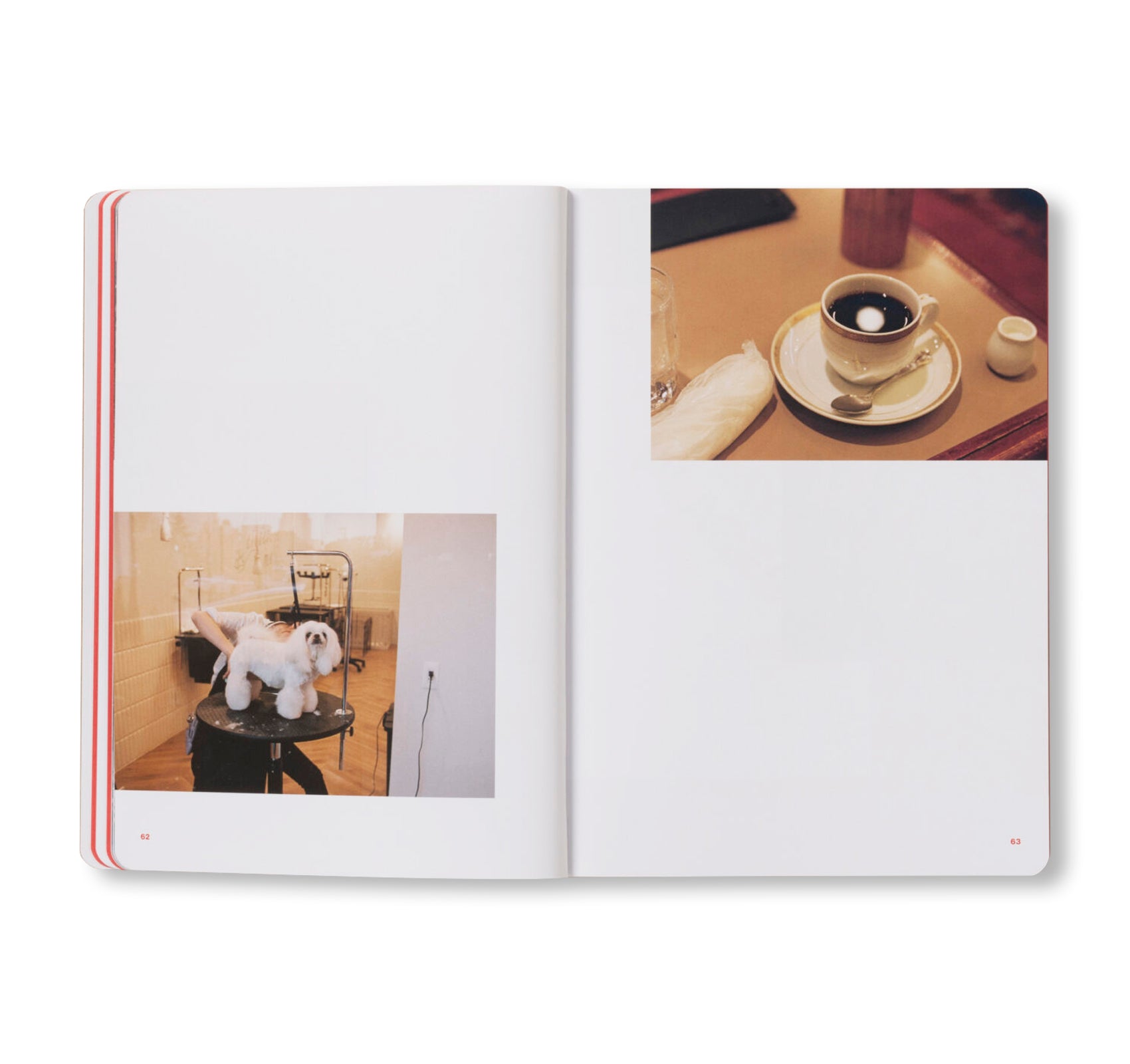THE ARTIST’S ATLAS: TOKYO