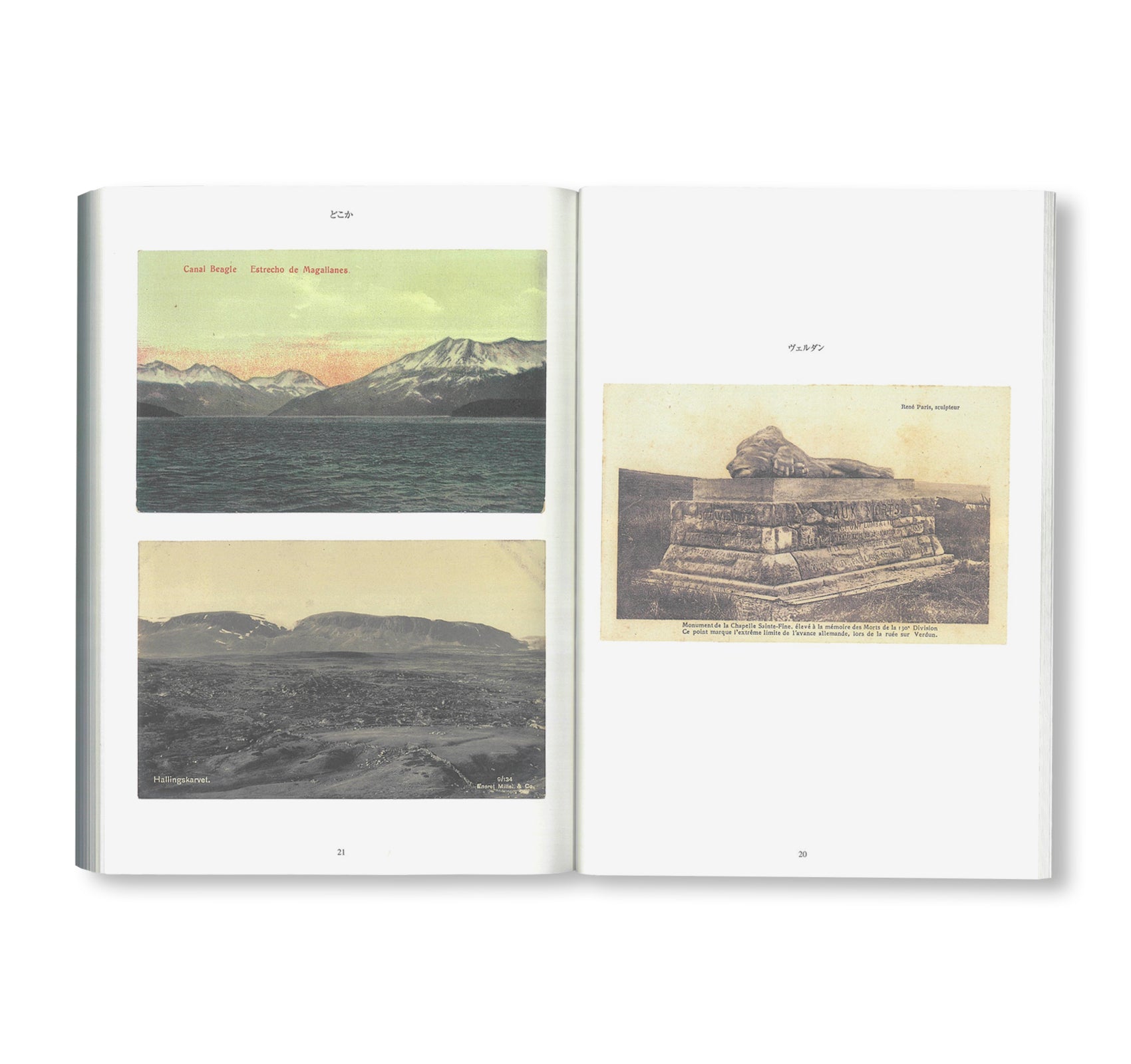 FONTAINEBLEAU IS IN FRANCE / フォンテーヌブローはフランスにある by Tacita Dean